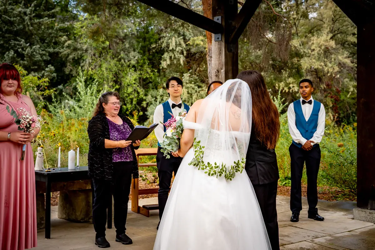 weddings image