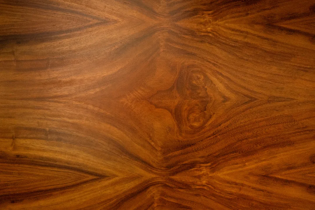 Lenteojitos — detalle de vitrina de armazones