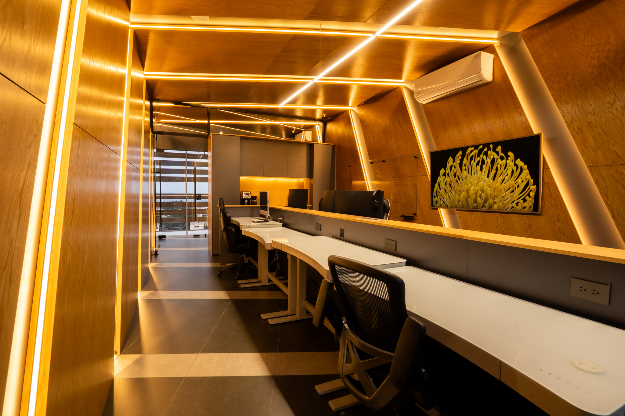 Seguro Ganas — oficinas corporativas, vista 19
