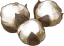 Wild Cotton