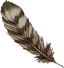 Griffon Feather