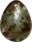 Unknown Egg