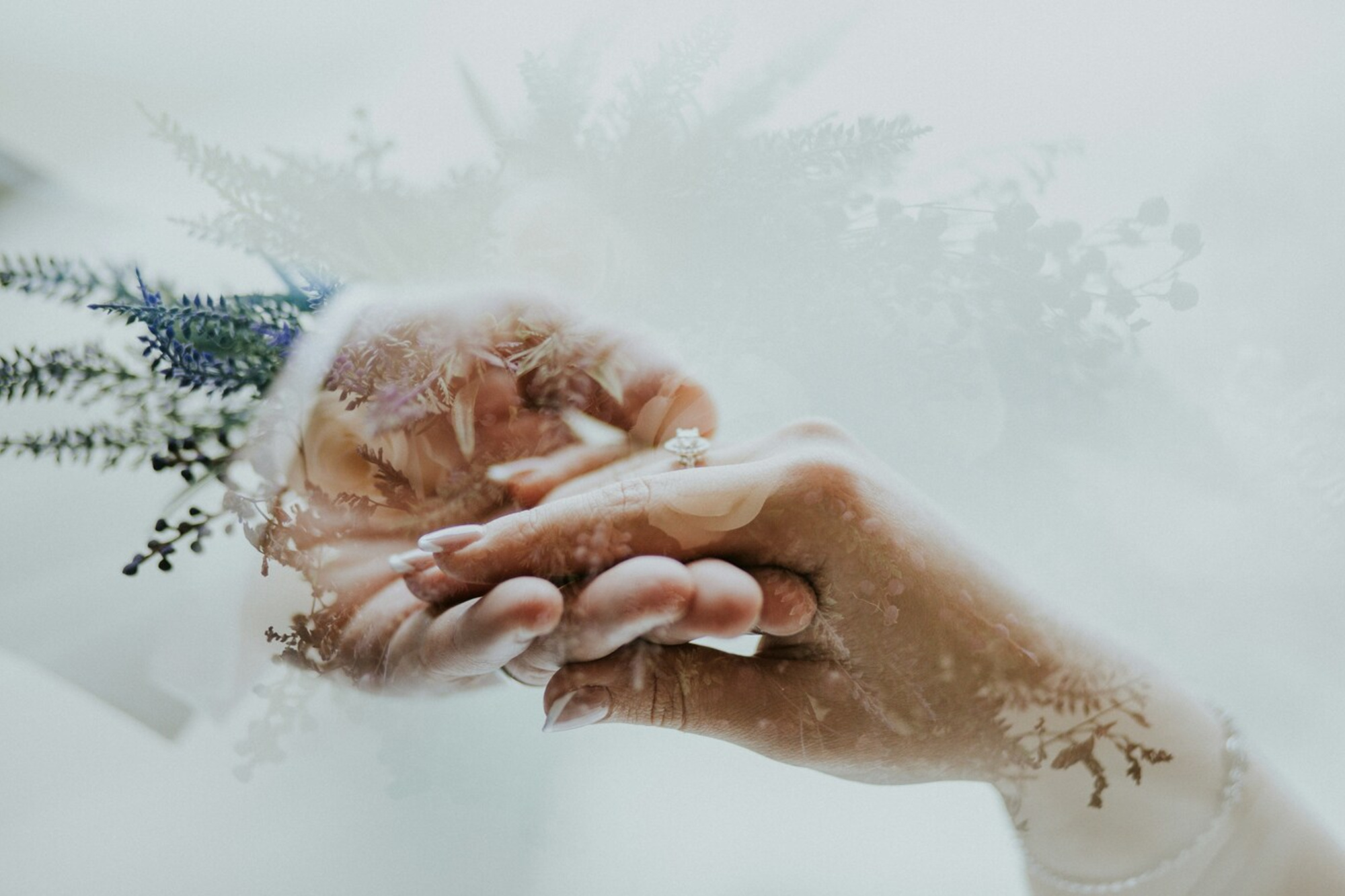 Pure Romance by Hayley Sellers - Image 7