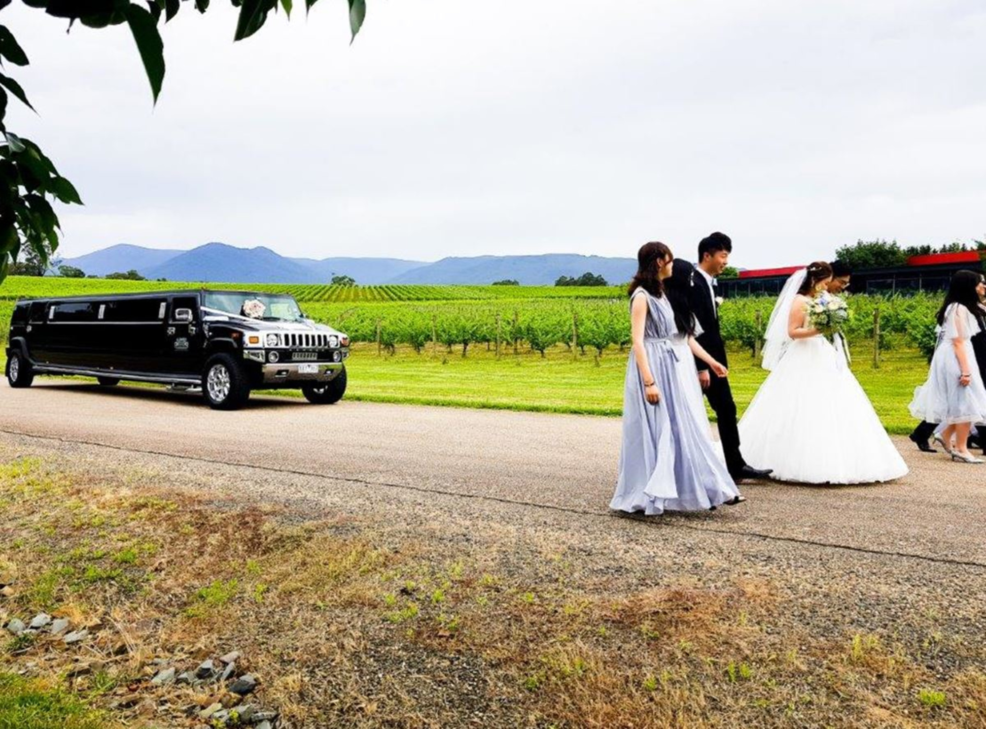 Hummer Limousines gallery image 12