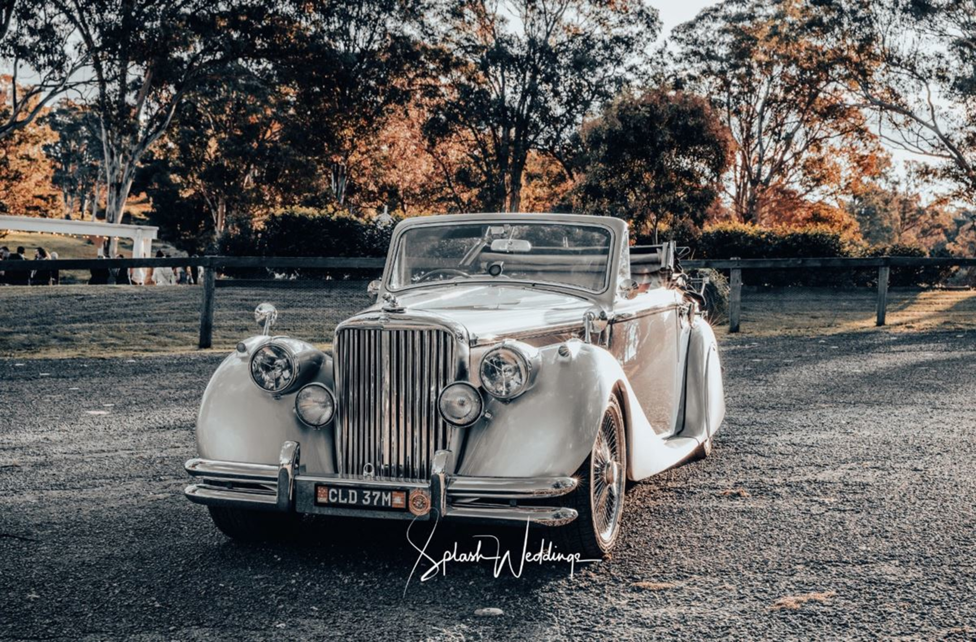 The Vintage Chauffeur gallery image 9