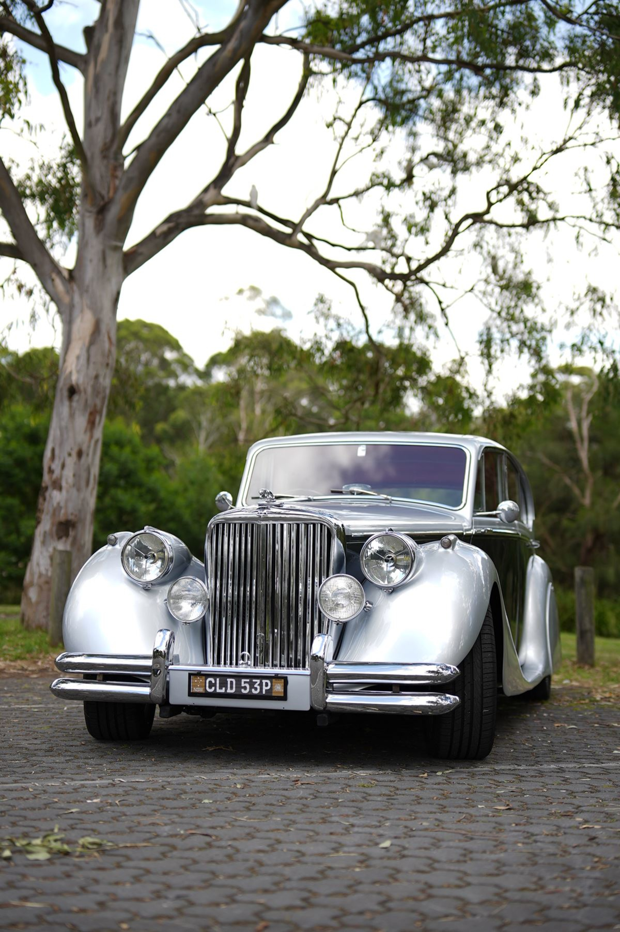 The Vintage Chauffeur gallery image 13