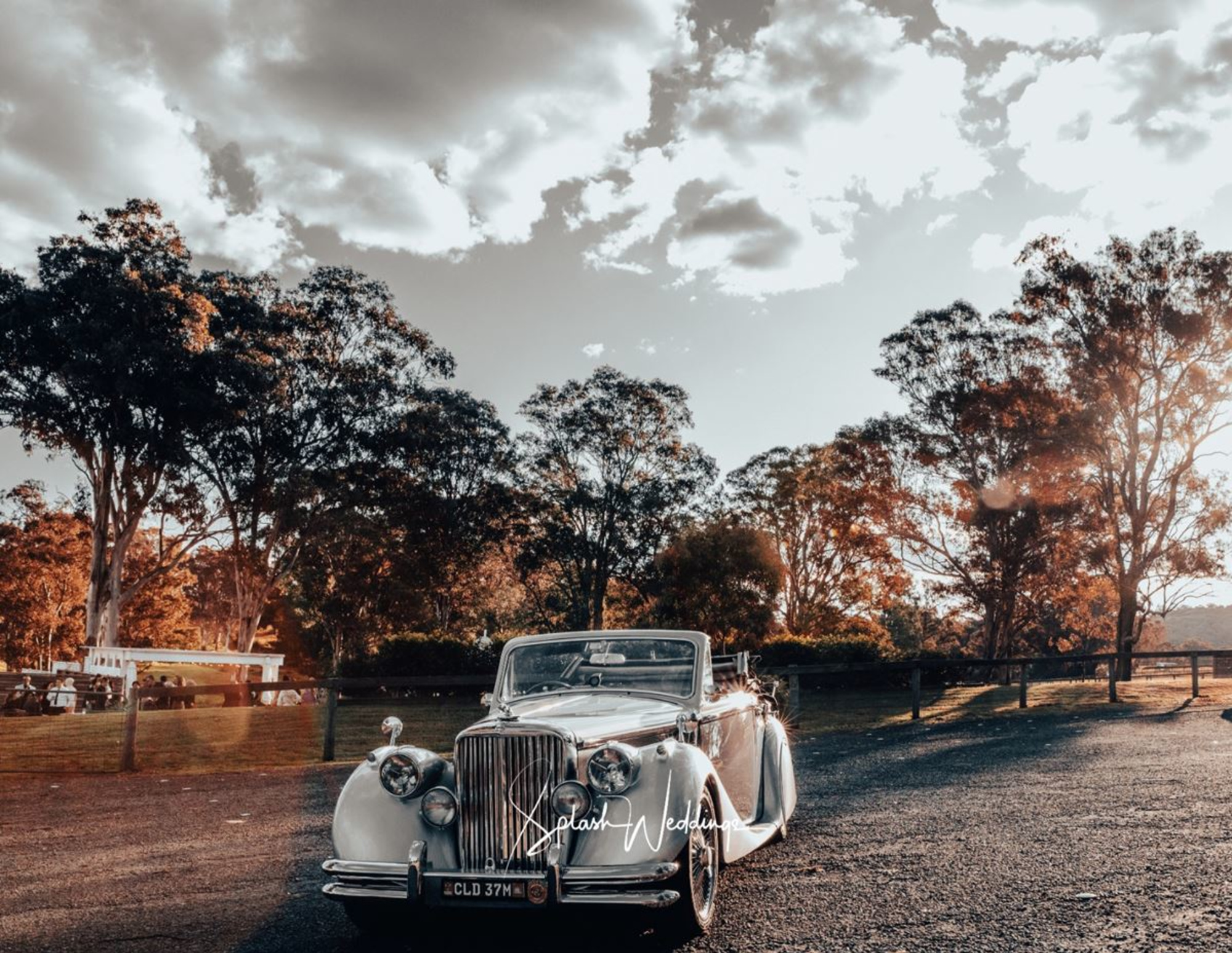 The Vintage Chauffeur gallery image 16