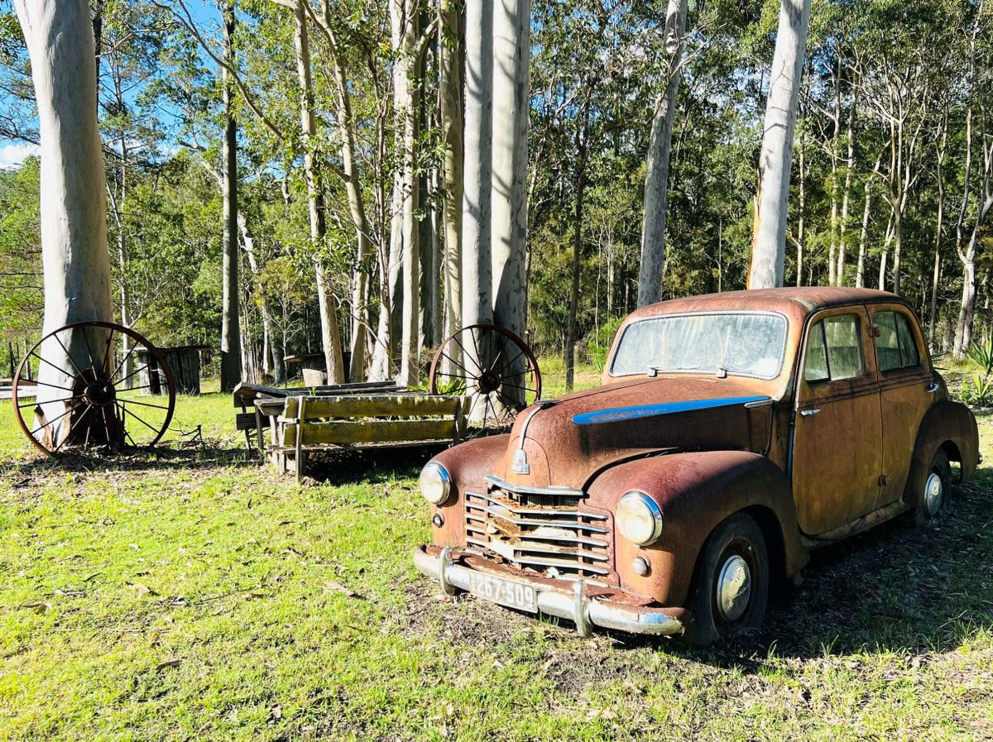 Mandalong Country Estate gallery image 16