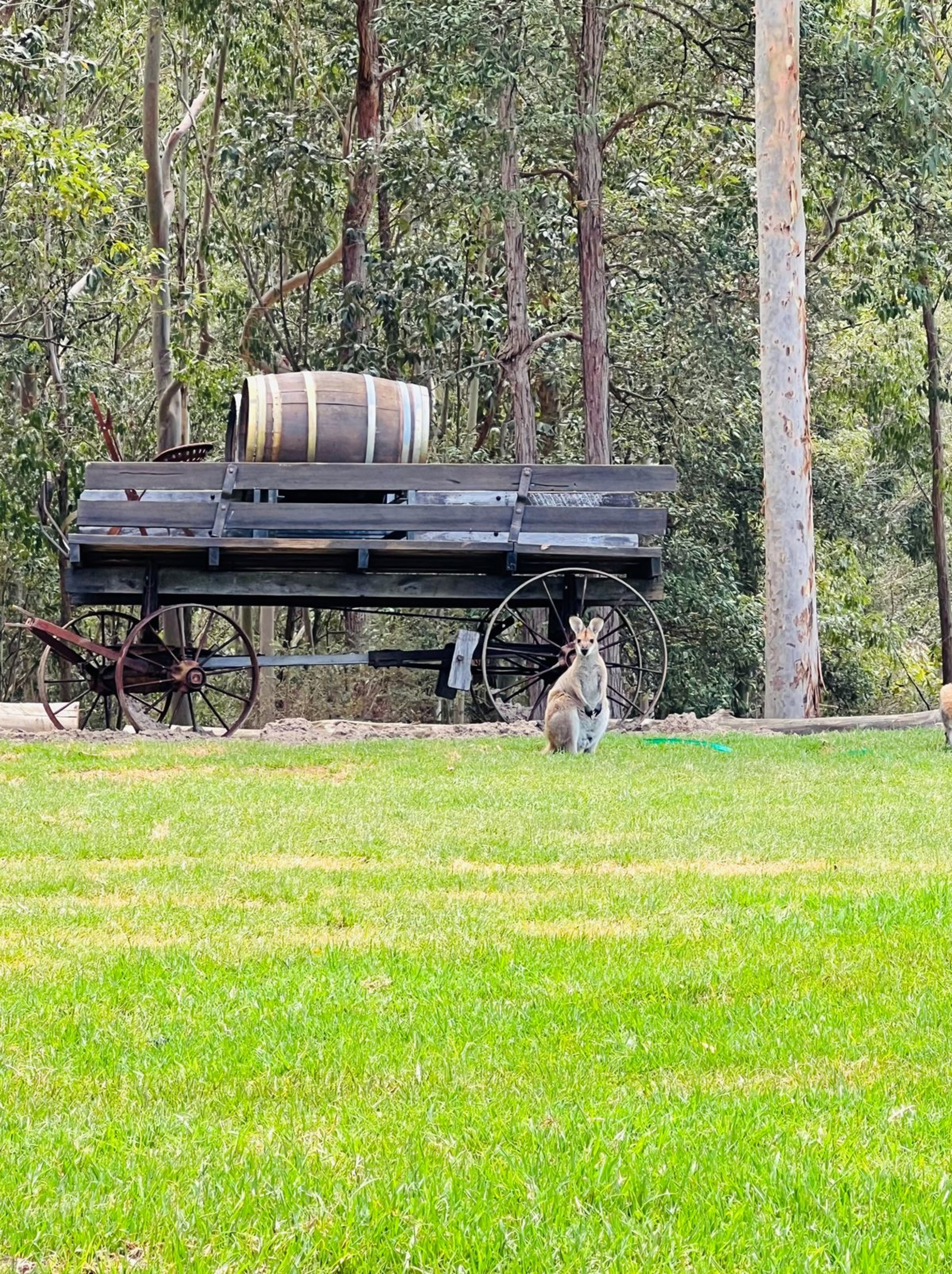 Mandalong Country Estate gallery image 17