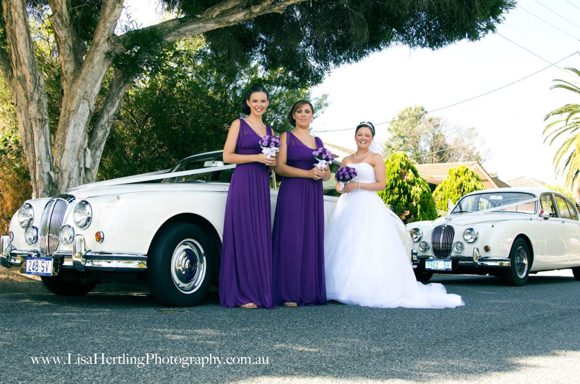 Jaguar Classic Hire gallery image 12