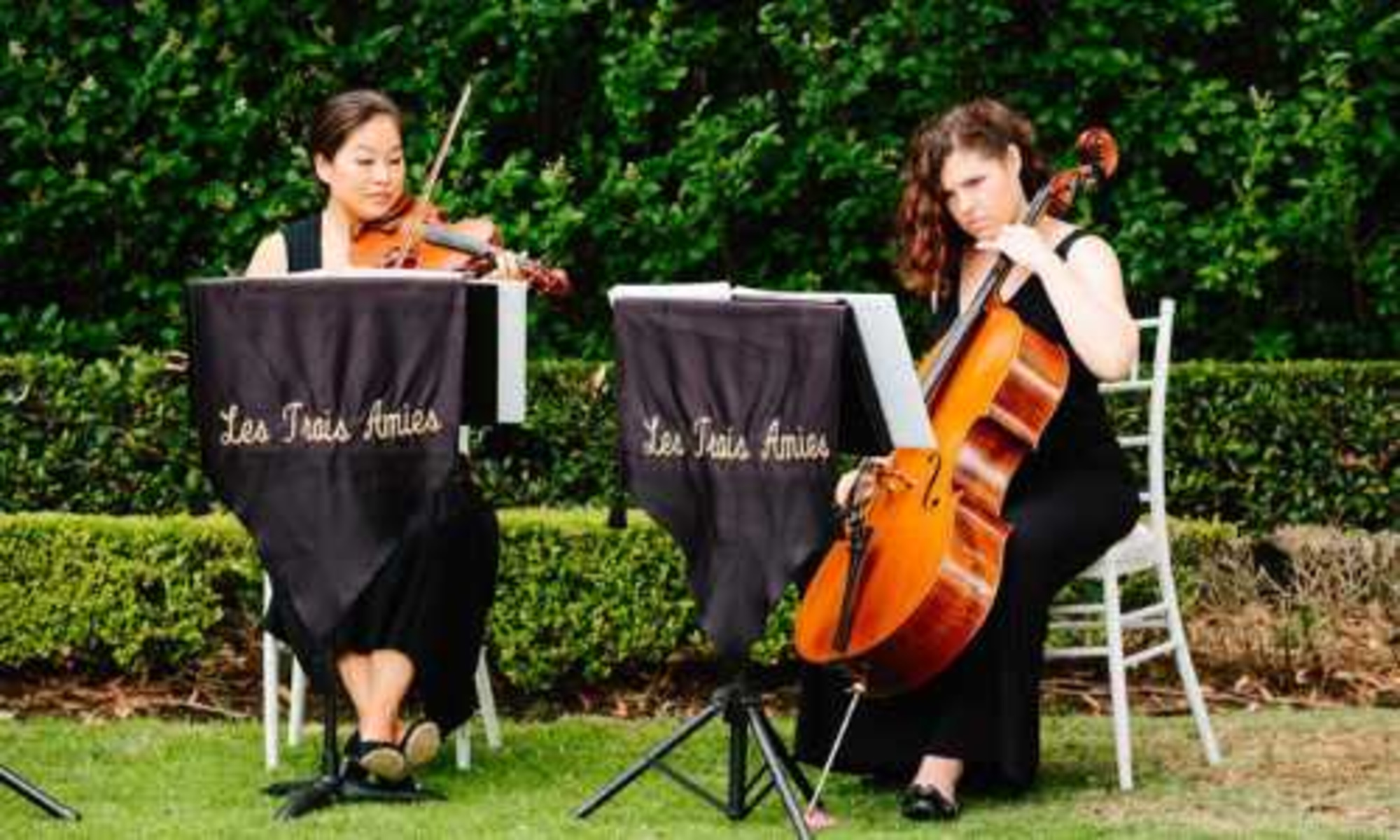 Pagoda Resort & Spa gallery image 16