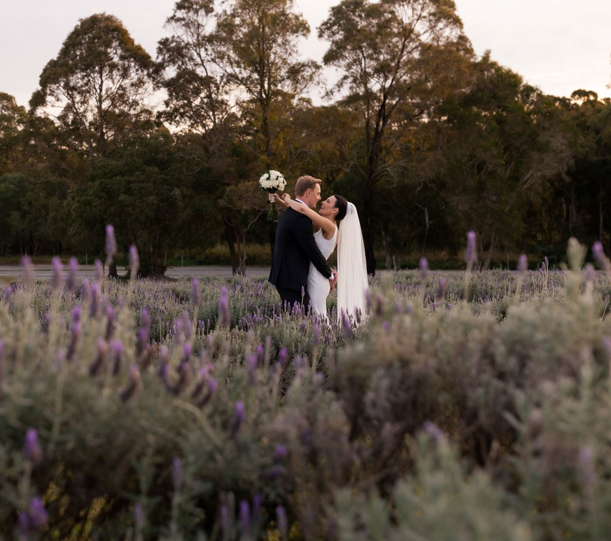 Sirromet Winery gallery image 26