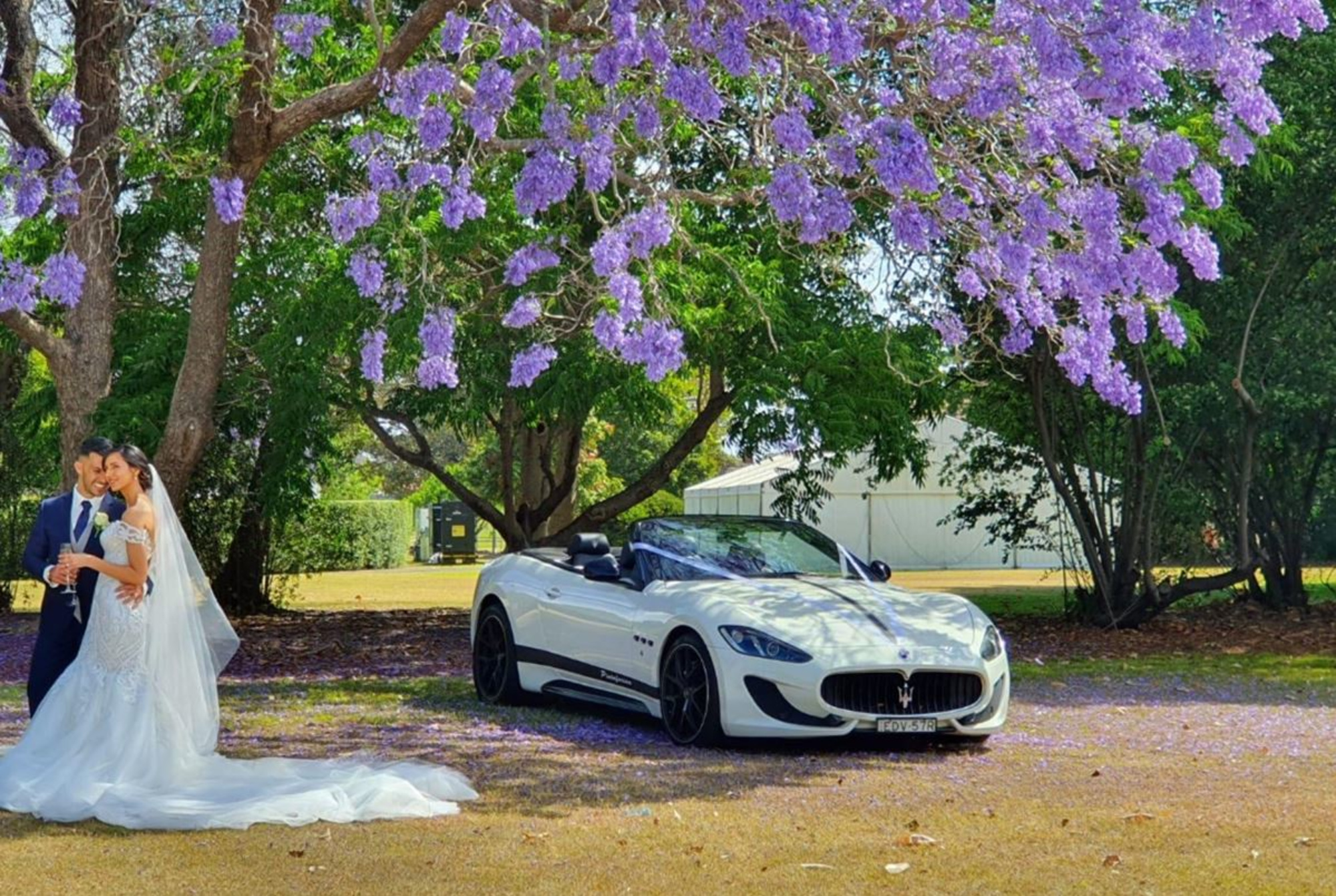 M1 Limousines gallery image 21