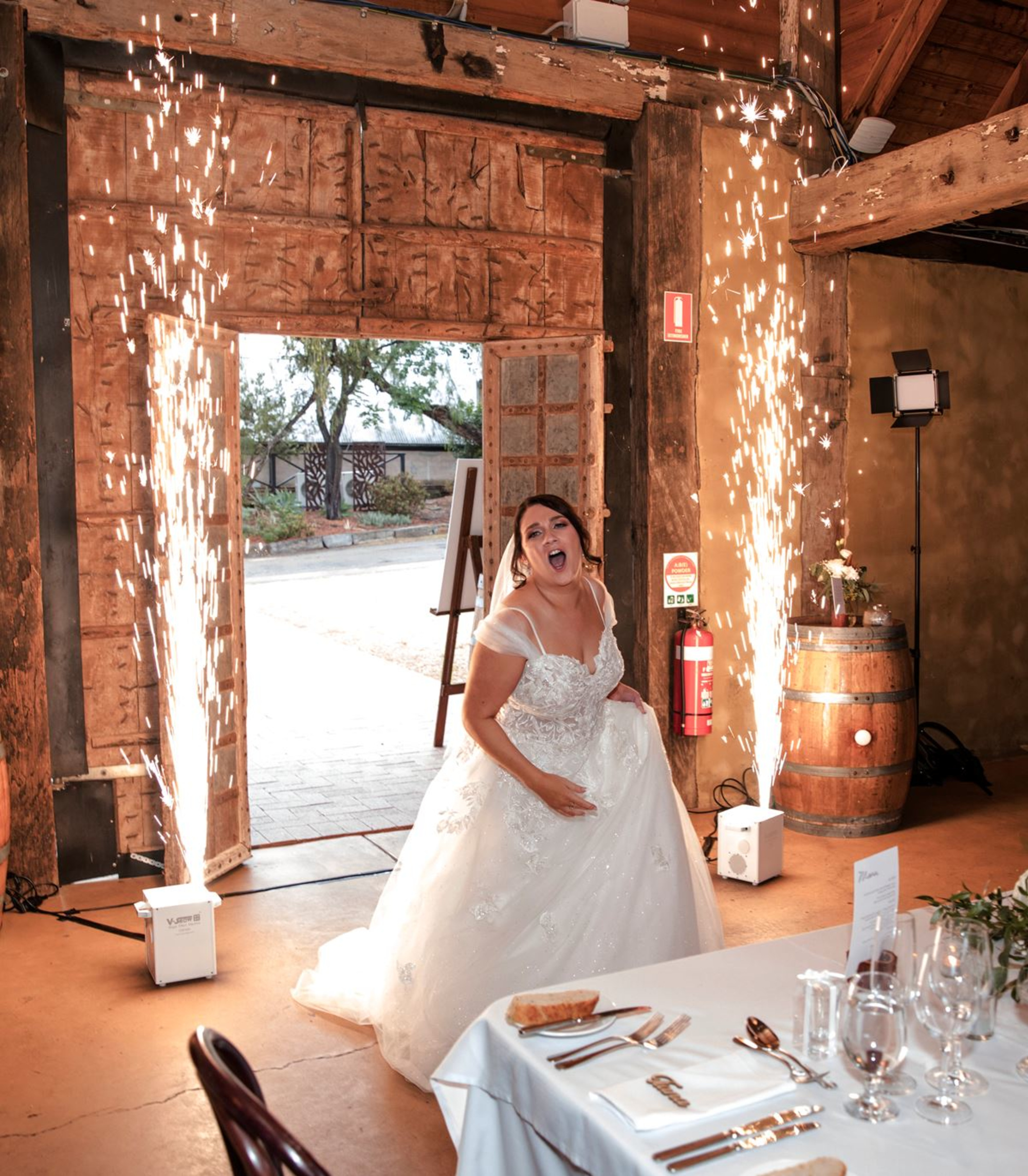 SteelCityBooths gallery image 21