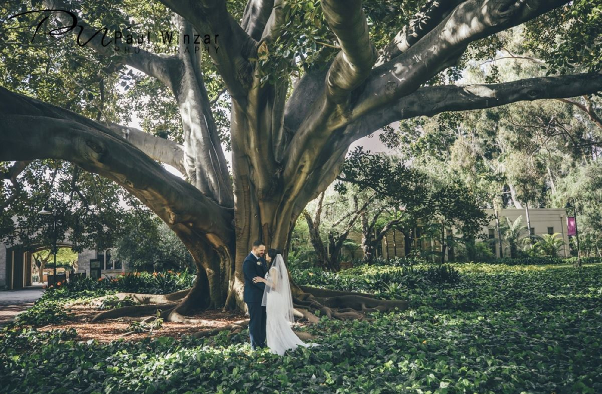 Paul Winzar Photography gallery image 16