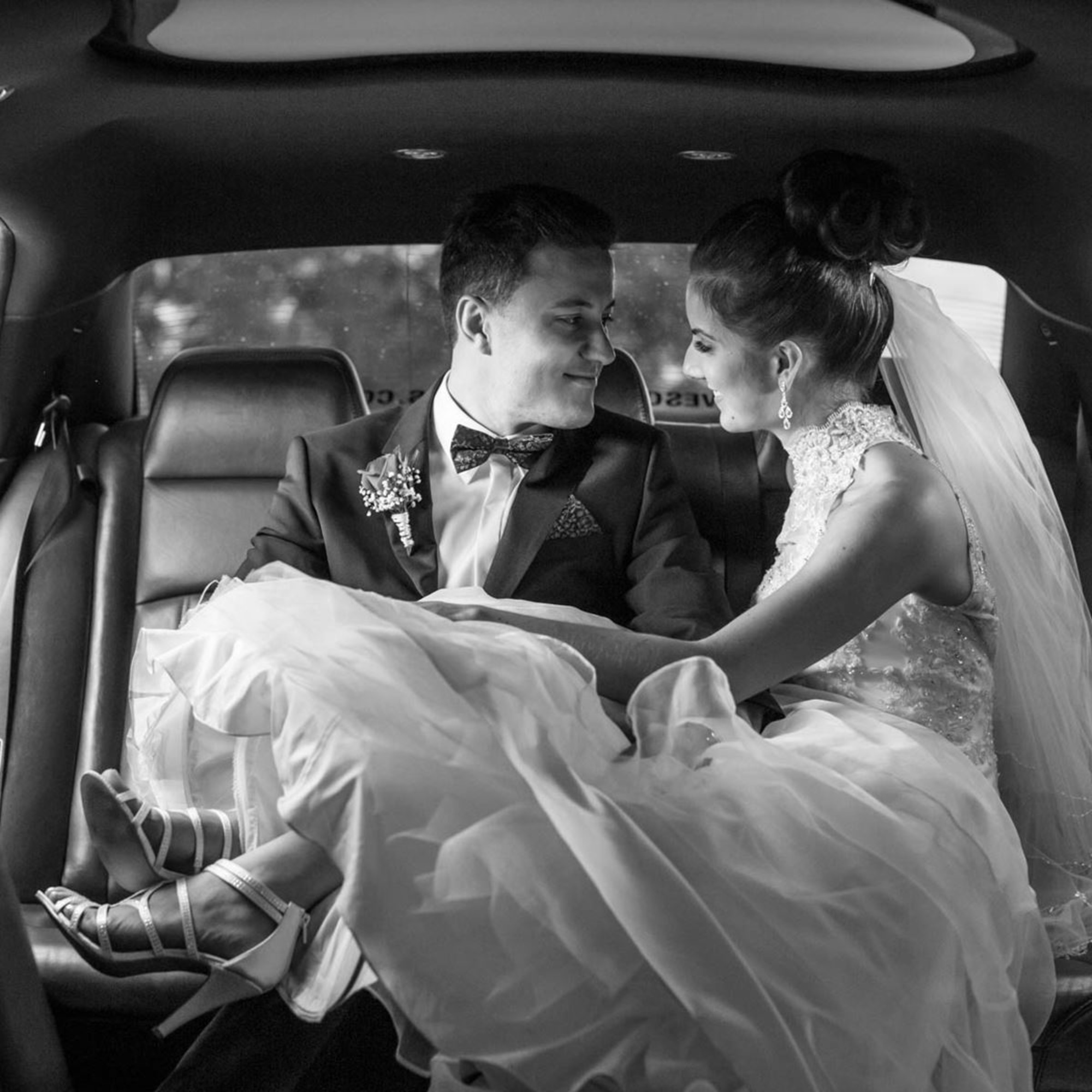 Paul Winzar Photography gallery image 17