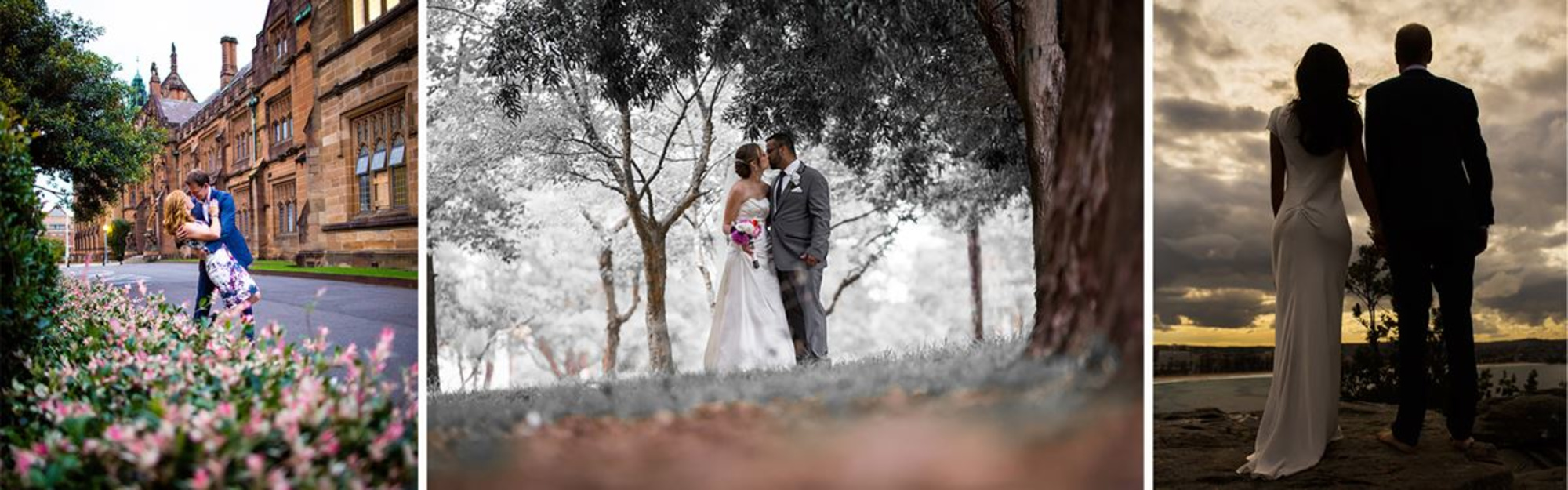 White Cat Media gallery image 11