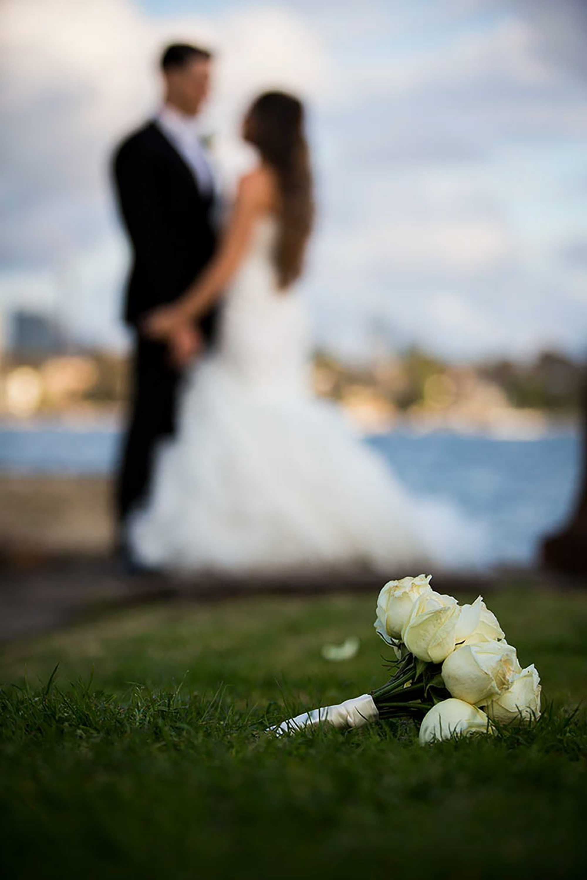 White Cat Media gallery image 23