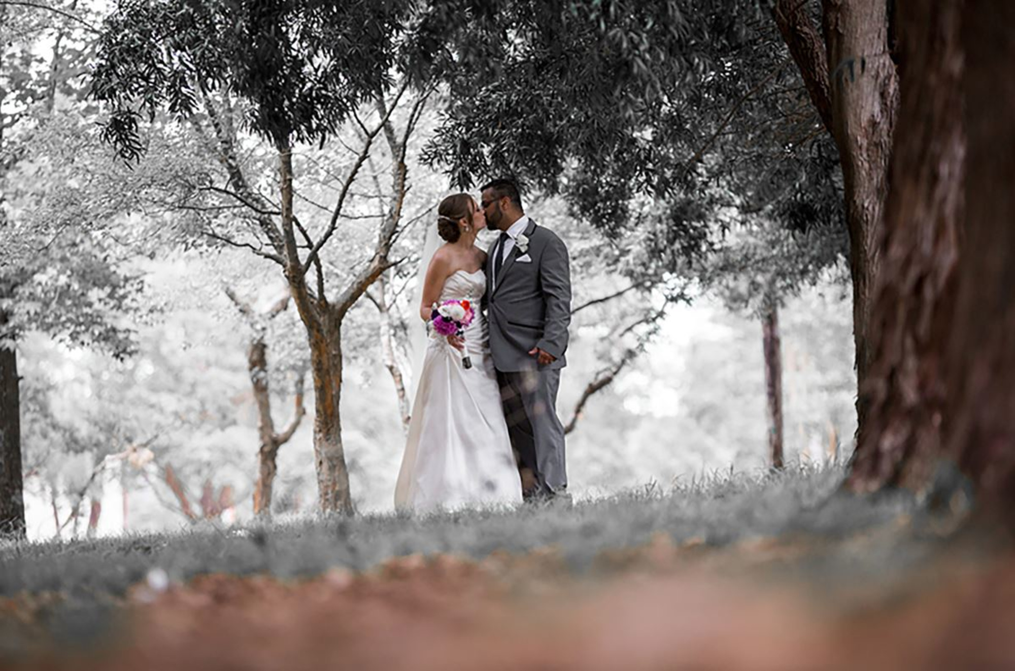 White Cat Media gallery image 27