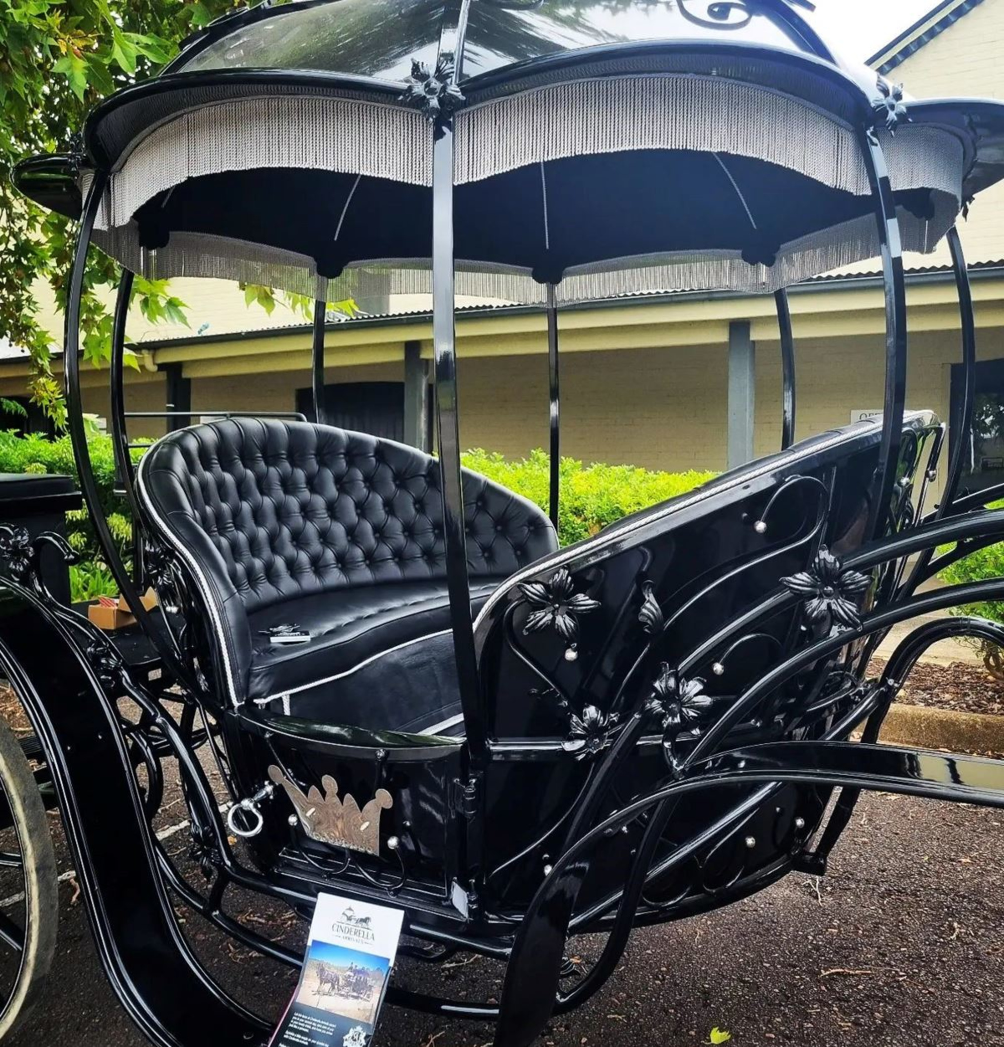 Cinderella Arrivals gallery image 14