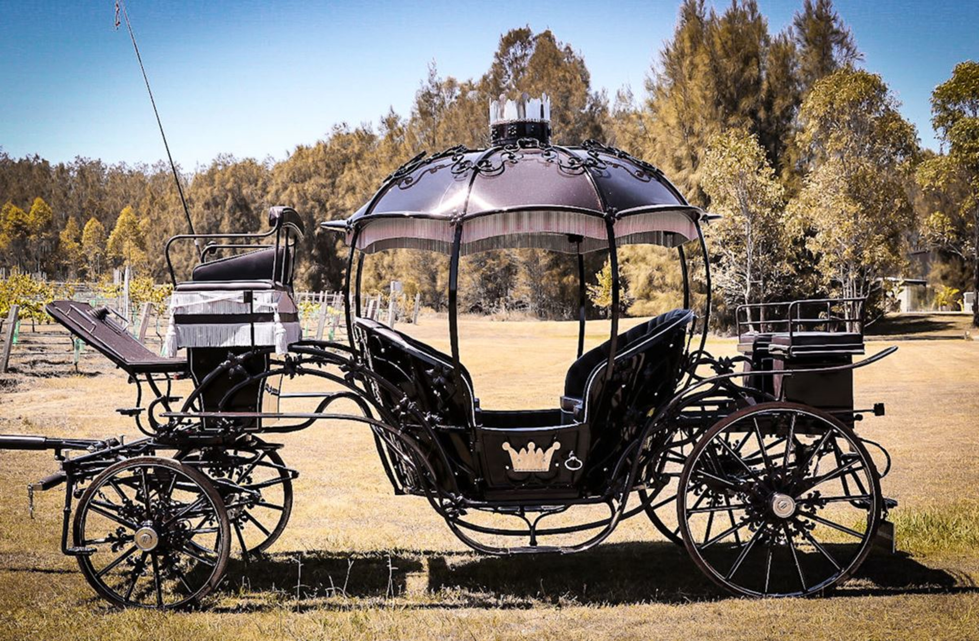 Cinderella Arrivals gallery image 15