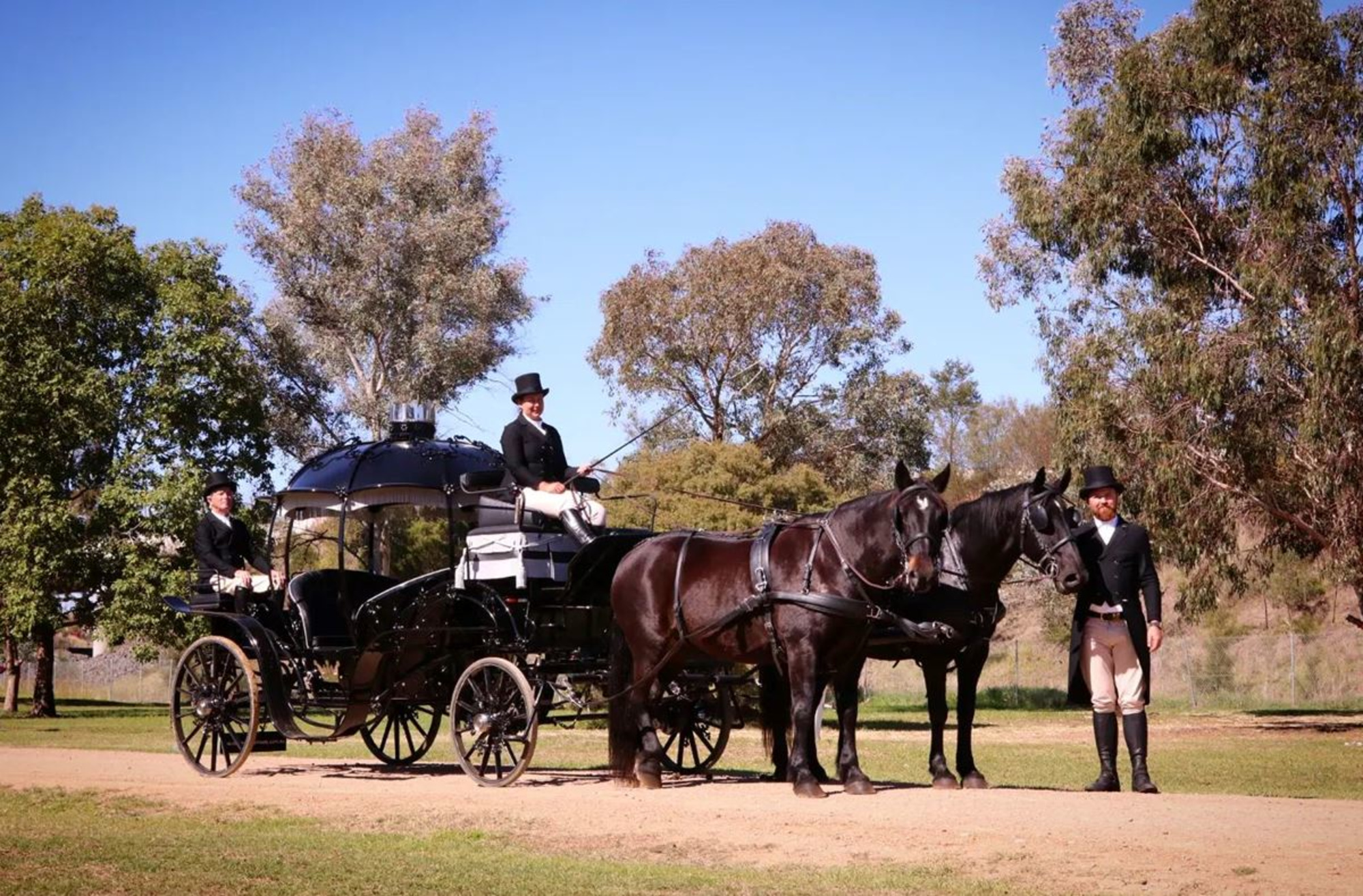 Cinderella Arrivals gallery image 26