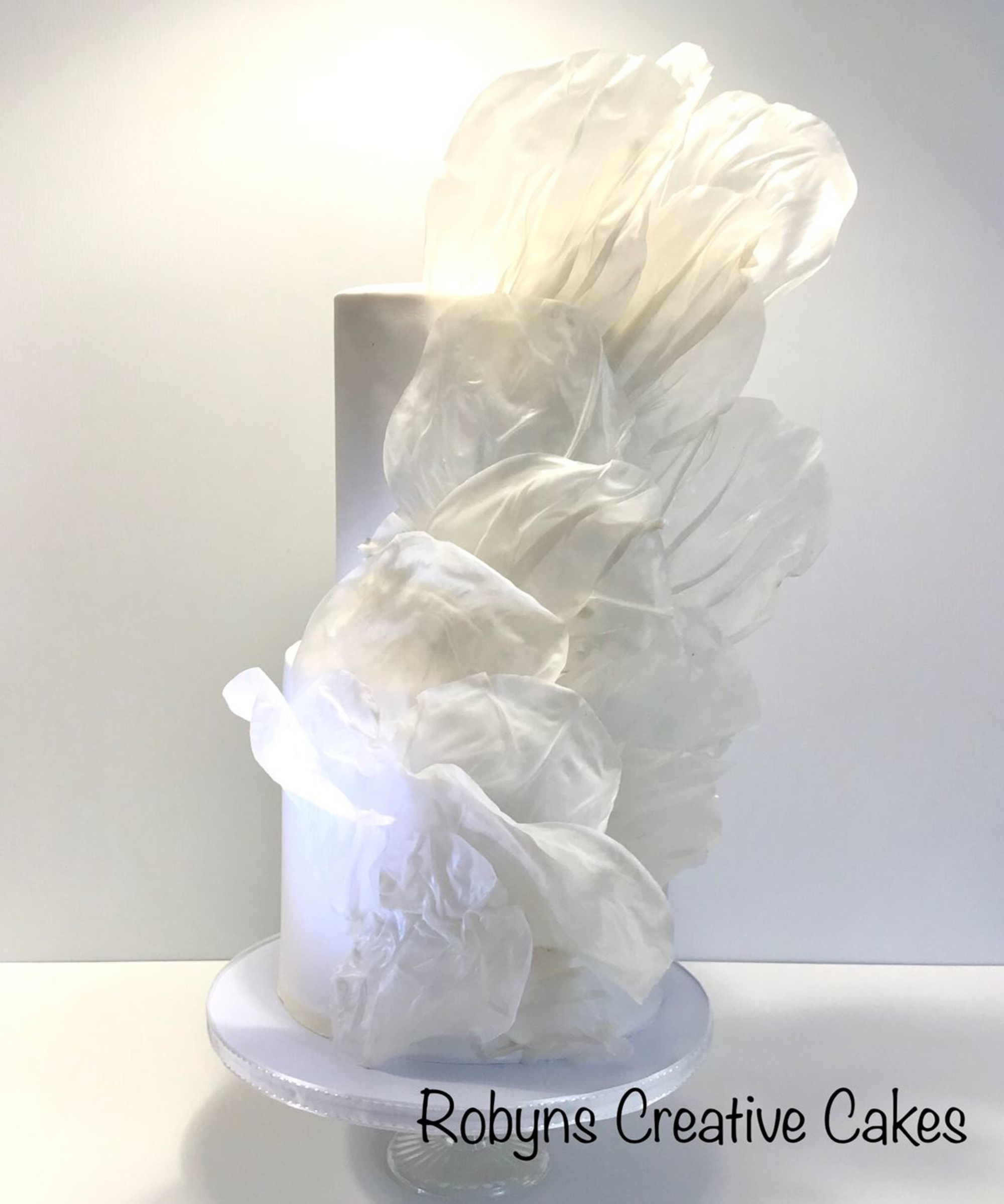 Robyn's Creative Cakes gallery image 14