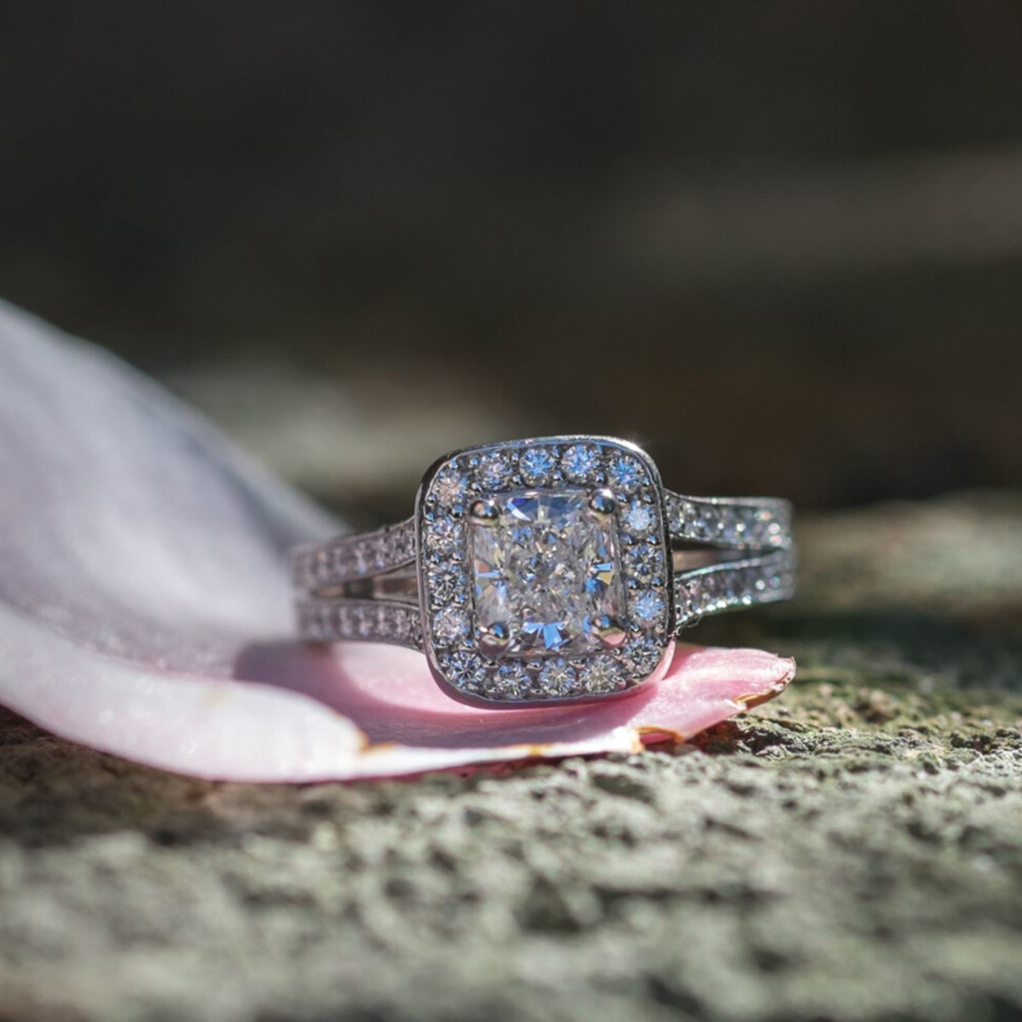 Roll Up In Style gallery image 22