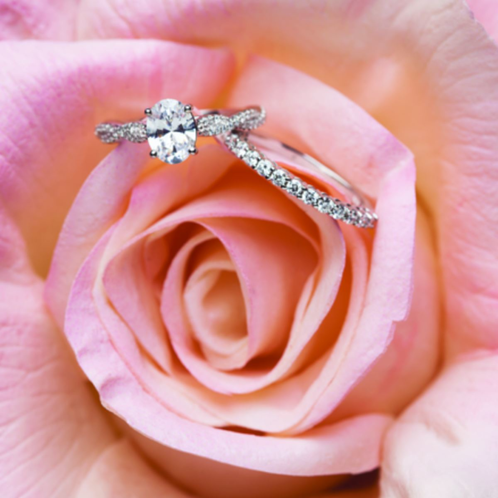 Argyle Jewellers gallery image 8