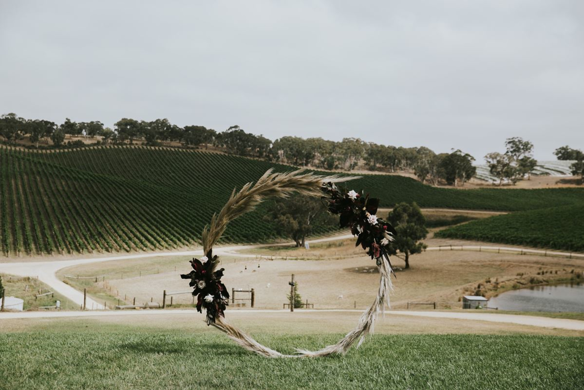 Longview Vineyard gallery image 23