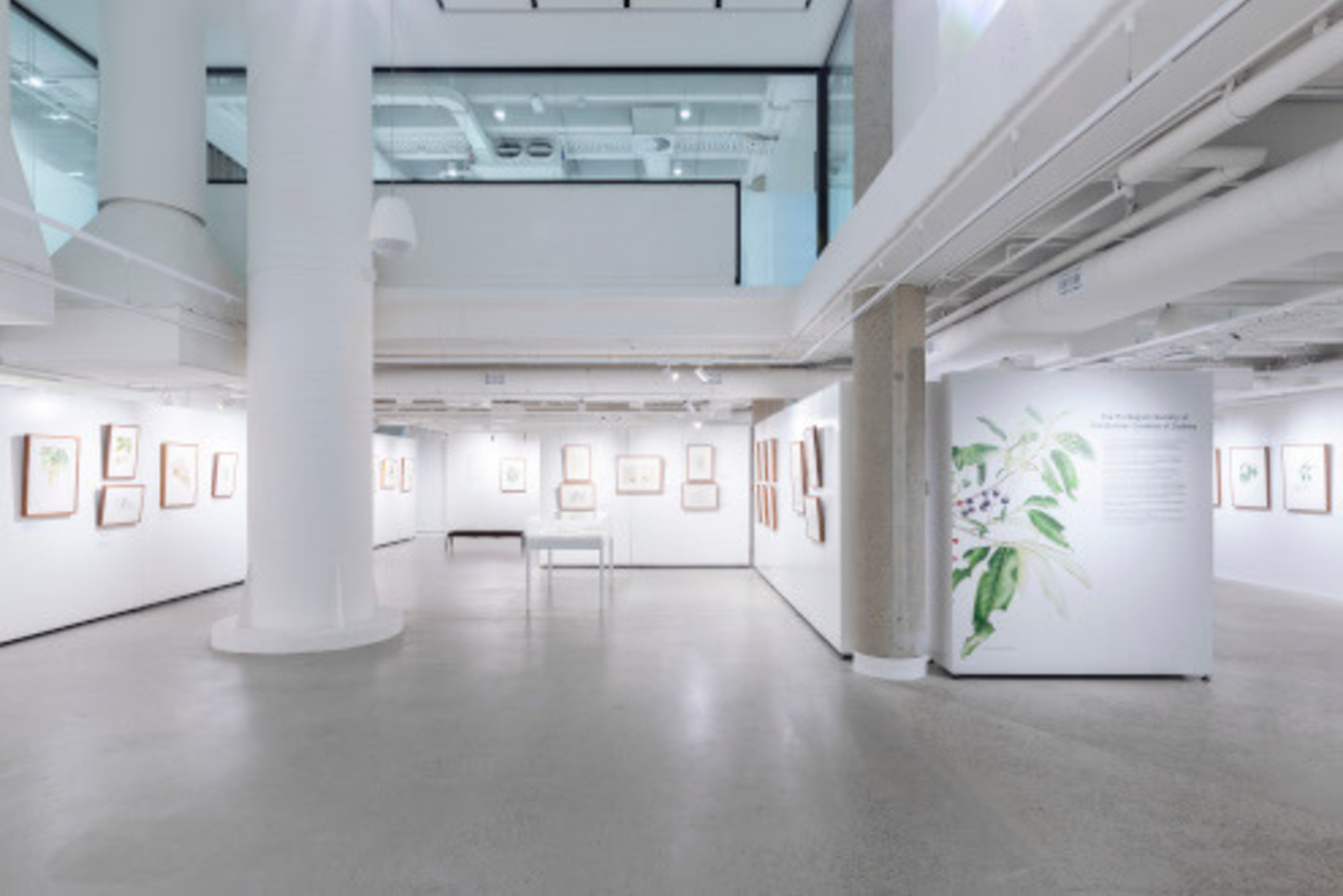 Botanic Gardens of Sydney gallery image 15