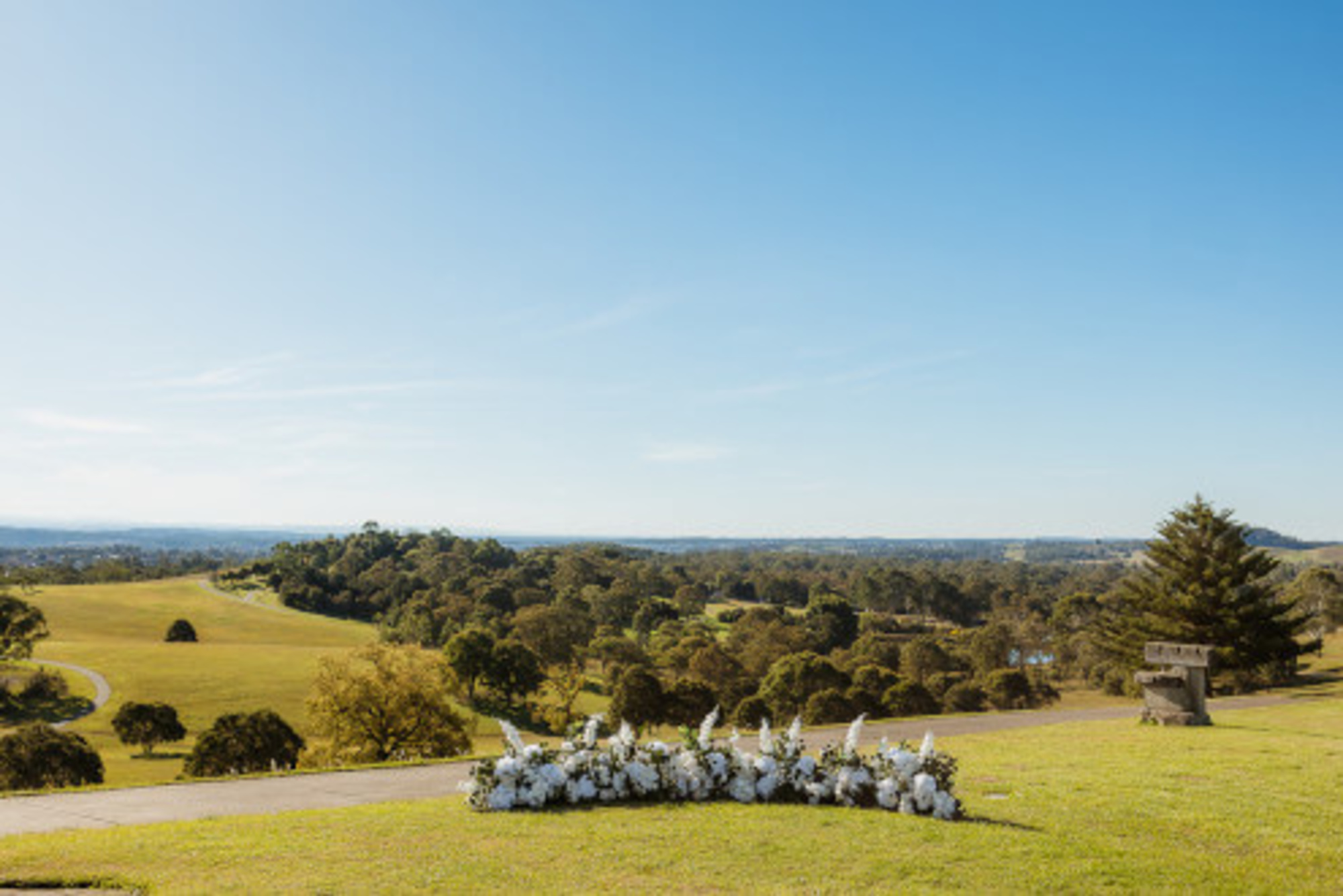 Botanic Gardens of Sydney gallery image 20