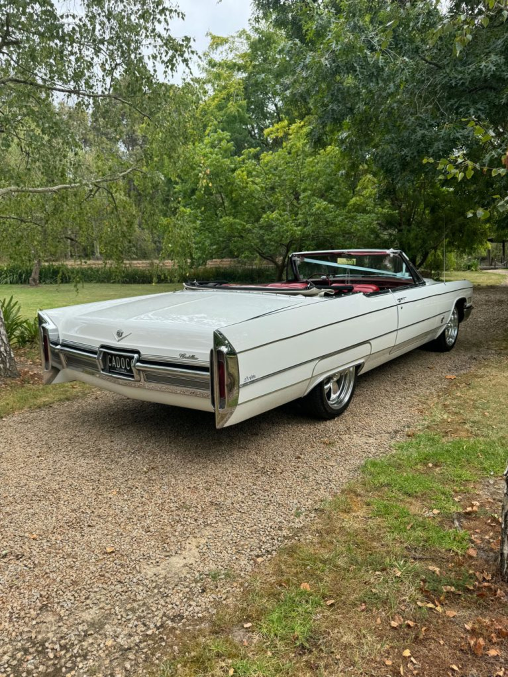 Caddyman Cadillac Occasions gallery image 12