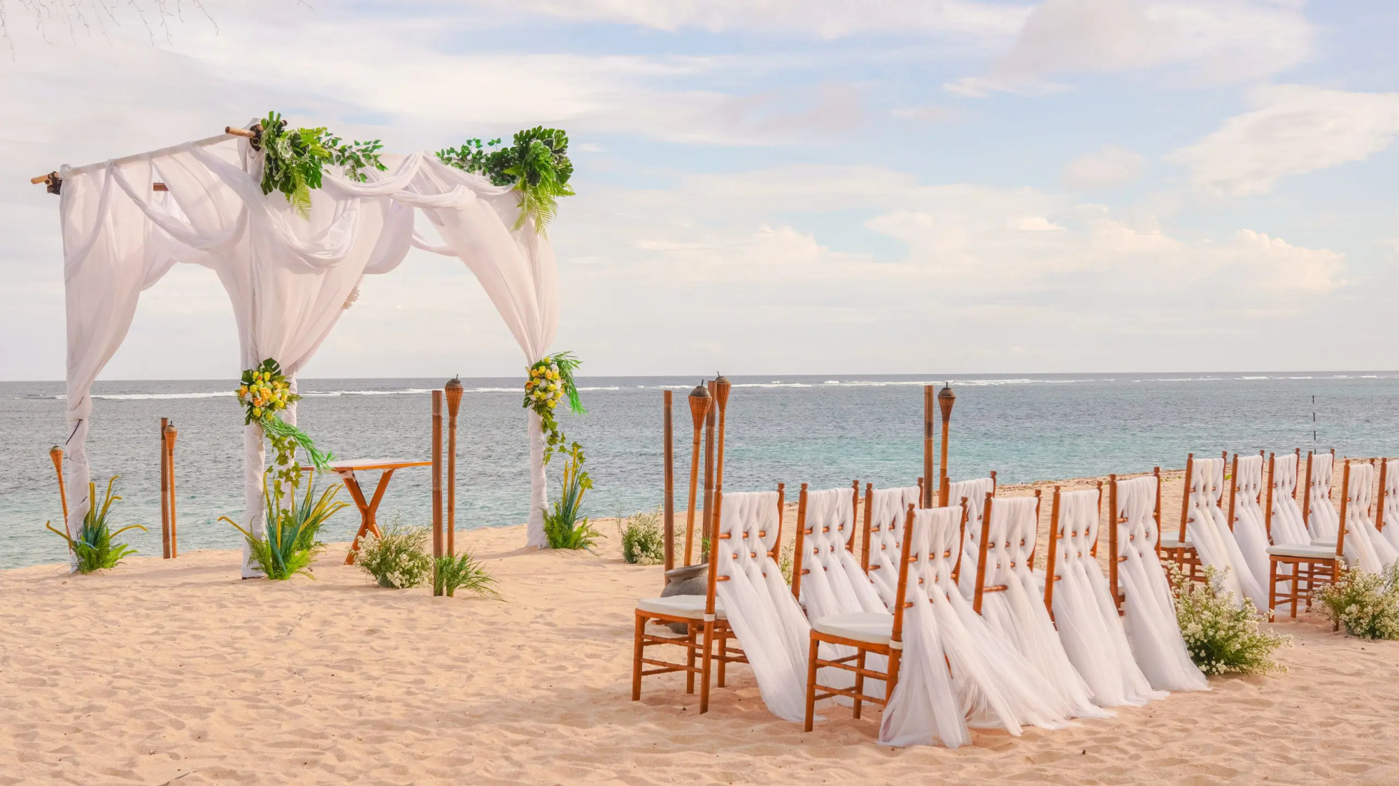 Canna Bali gallery image 12