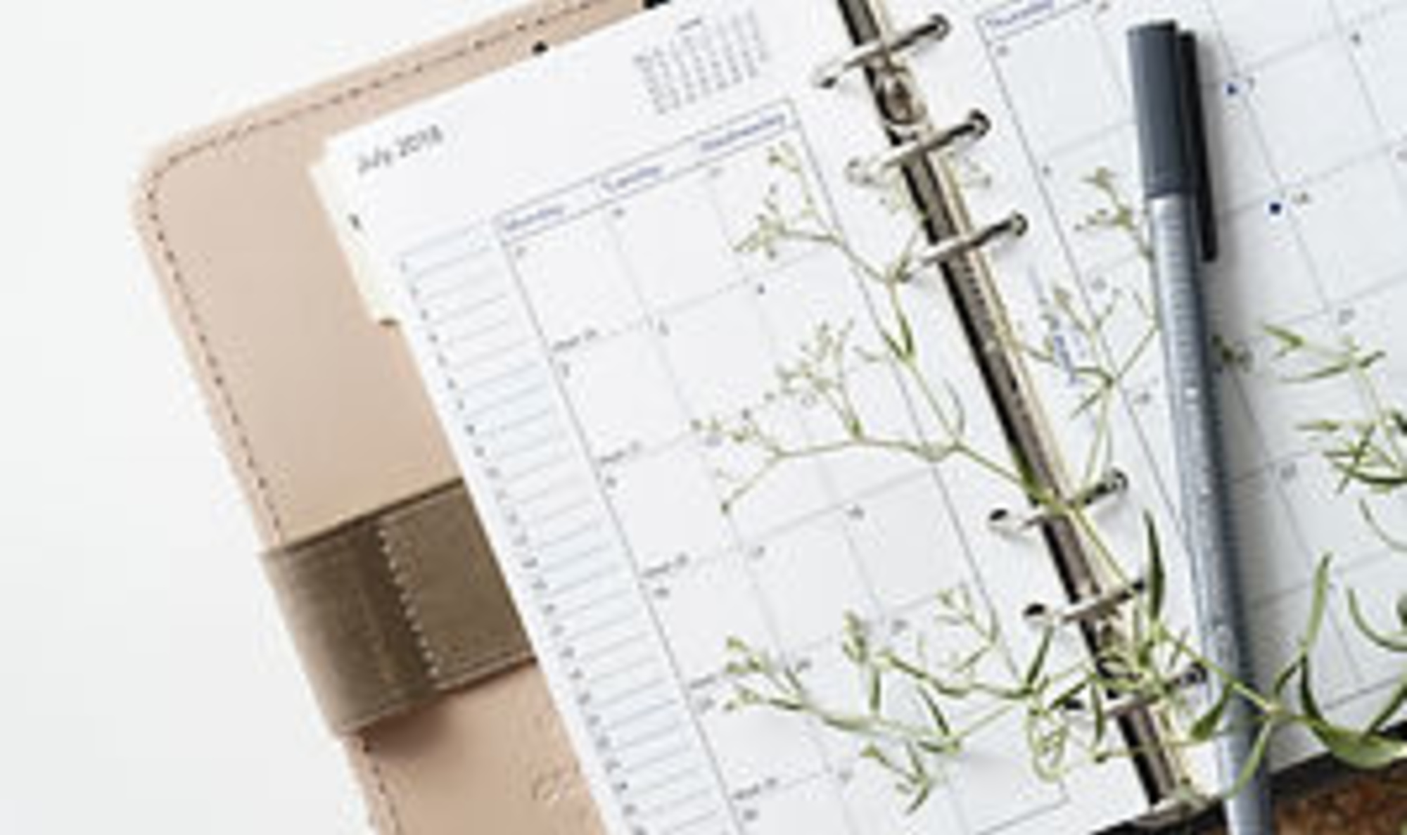 The Little Ceremony Co (Anne Miller Marriage Celebrant) gallery image 8