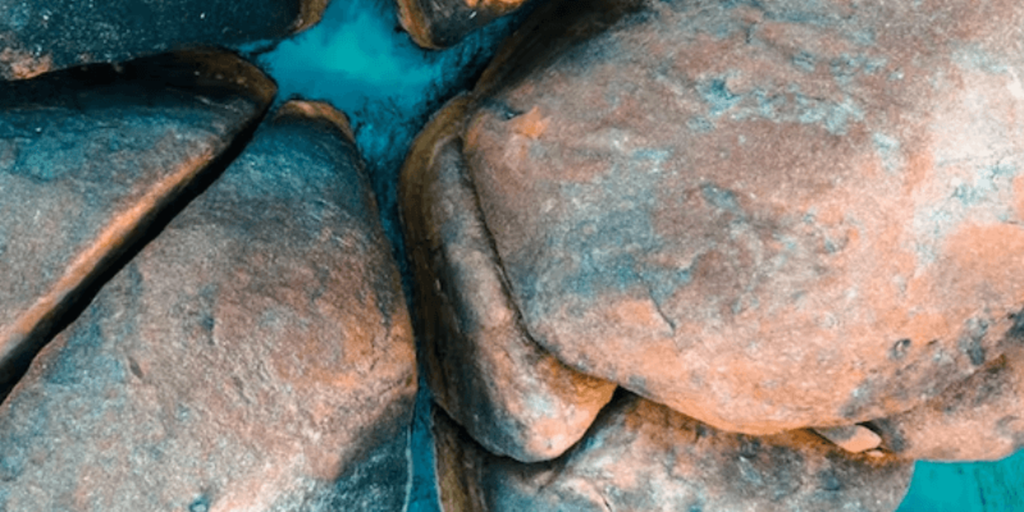 Travel Managers gallery image 9