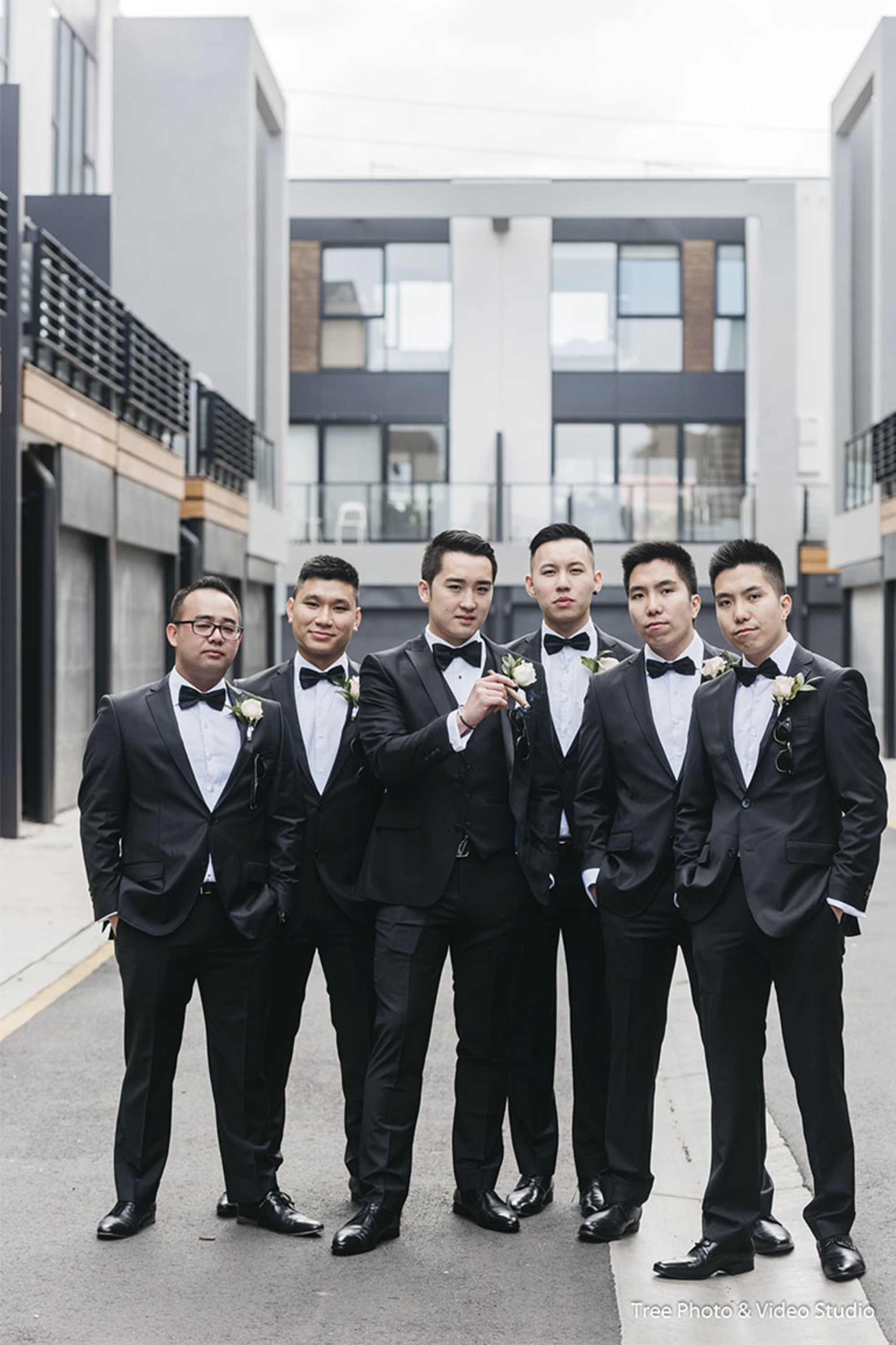 Tree Photo & Video Studio gallery image 15