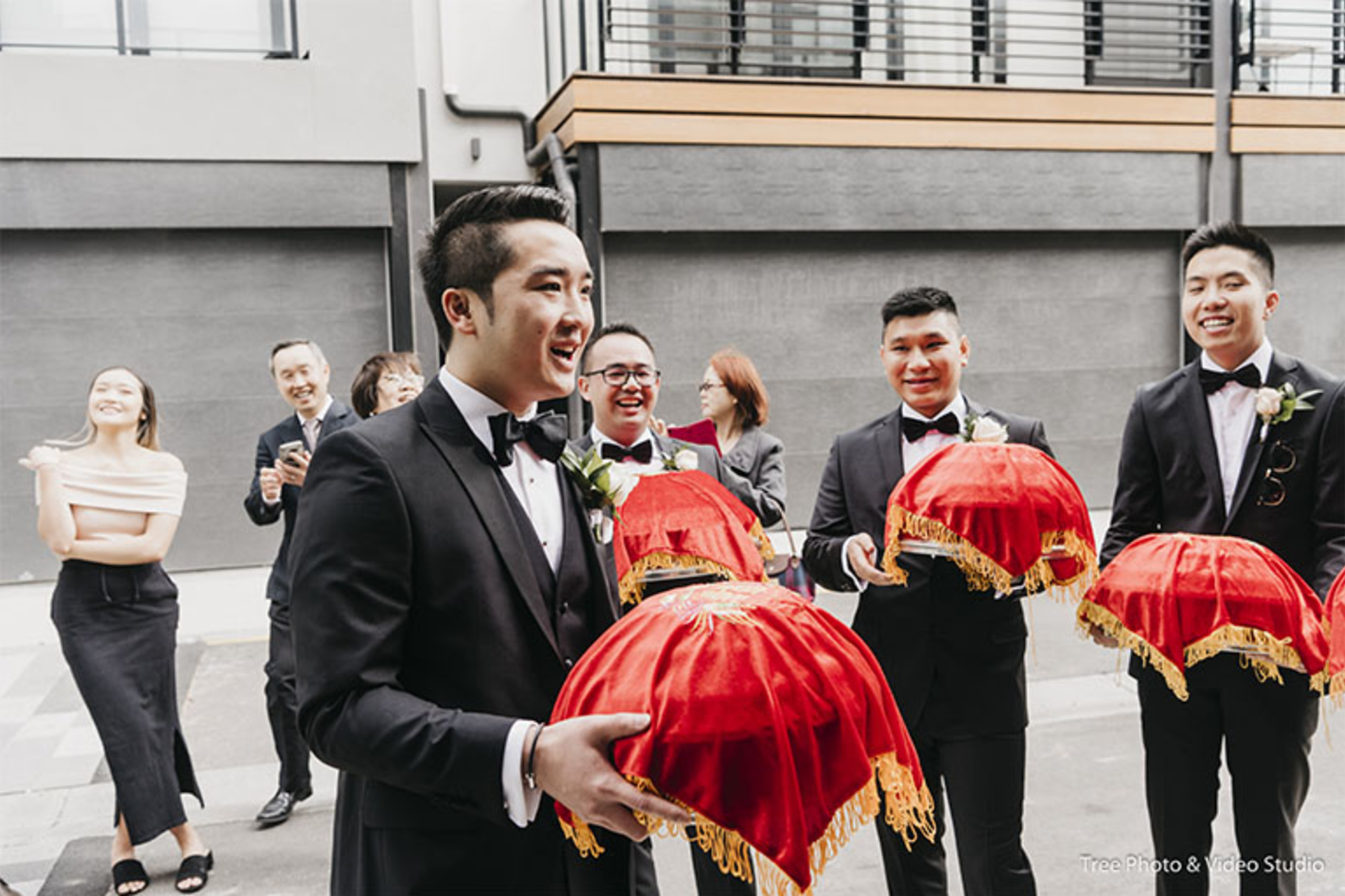 Tree Photo & Video Studio gallery image 21