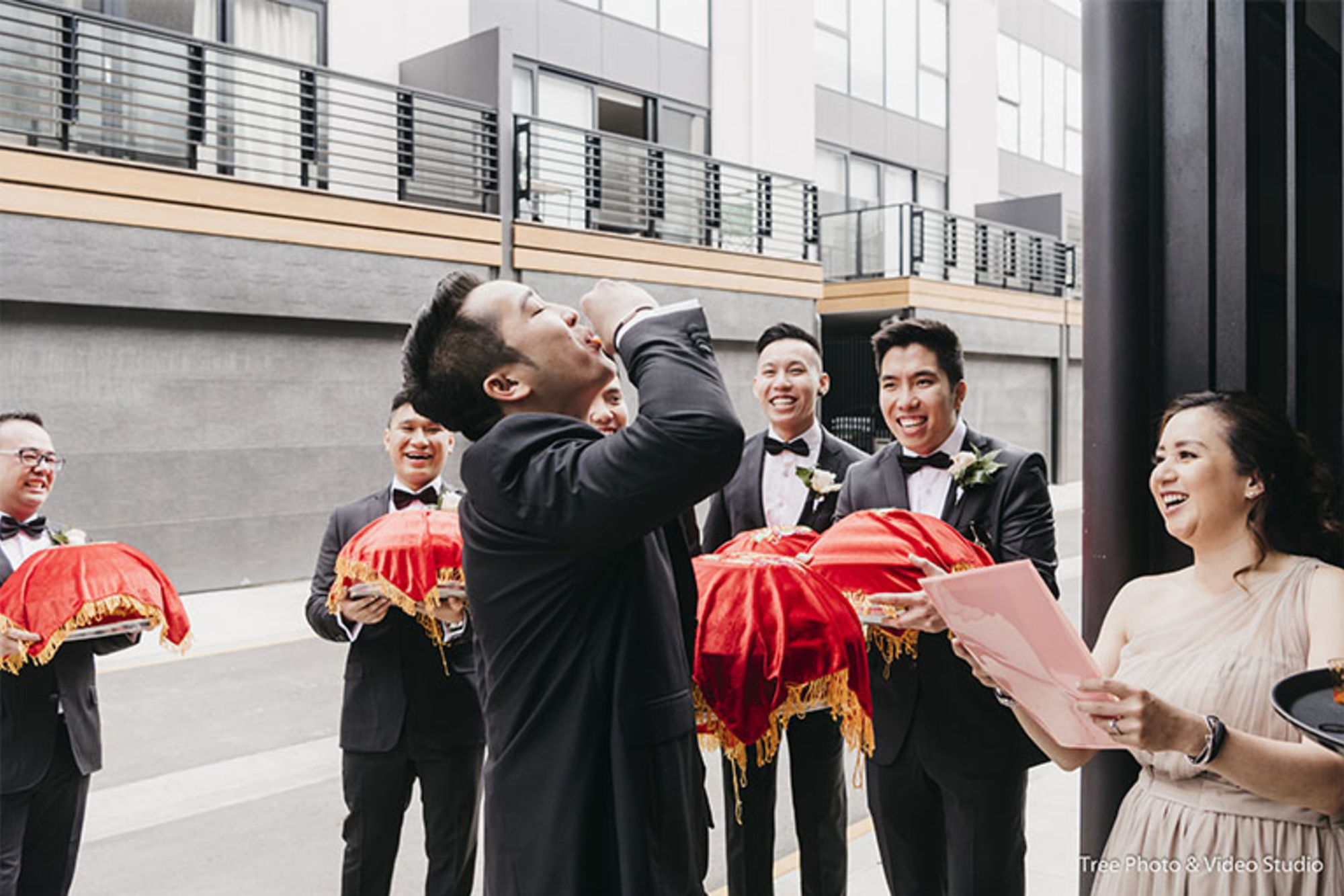 Tree Photo & Video Studio gallery image 22