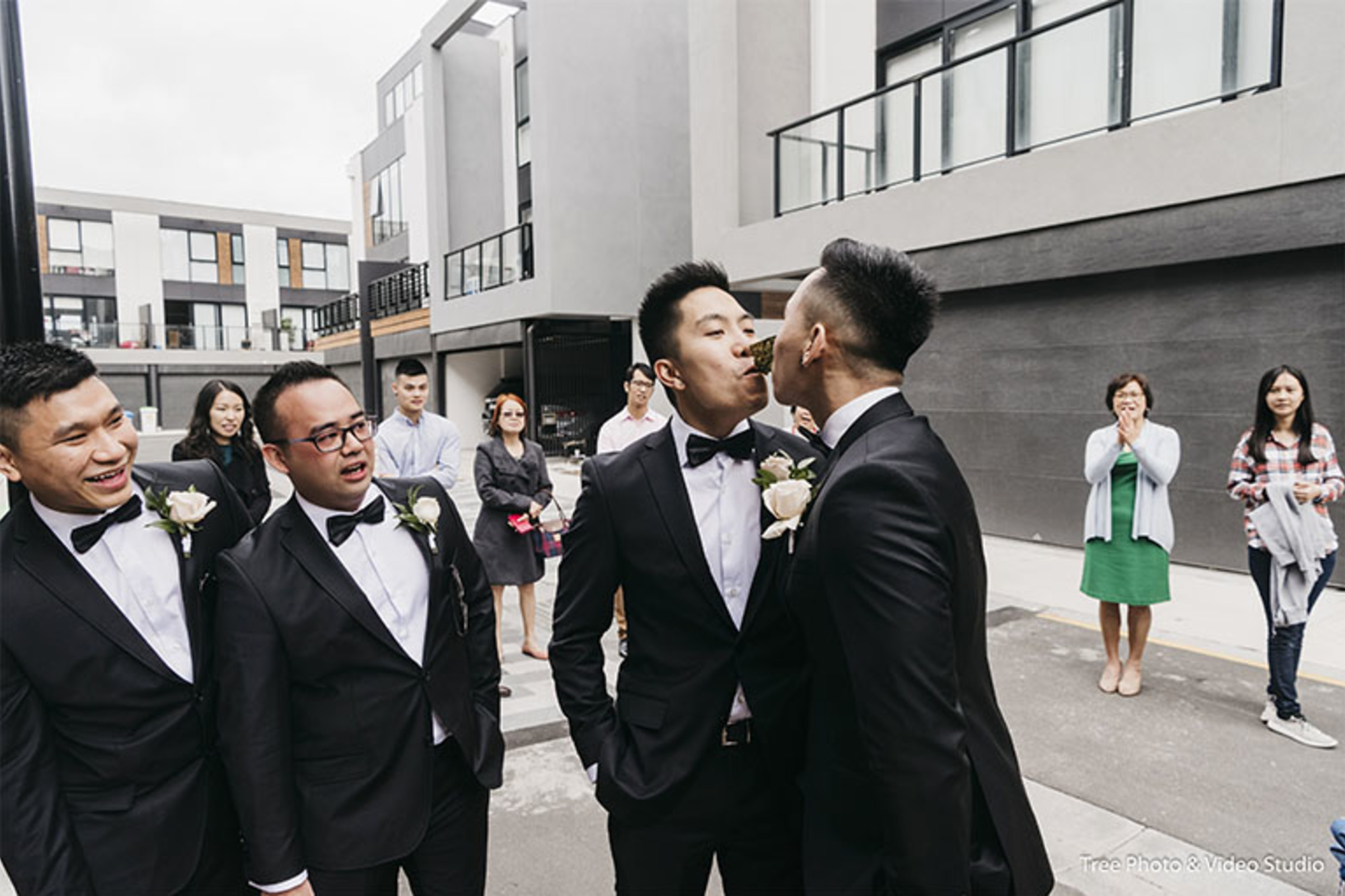 Tree Photo & Video Studio gallery image 23