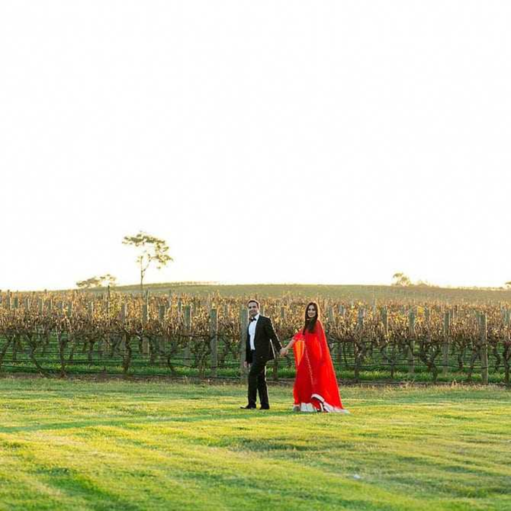 Couple holding hands walking through a vineyard field at sunset.