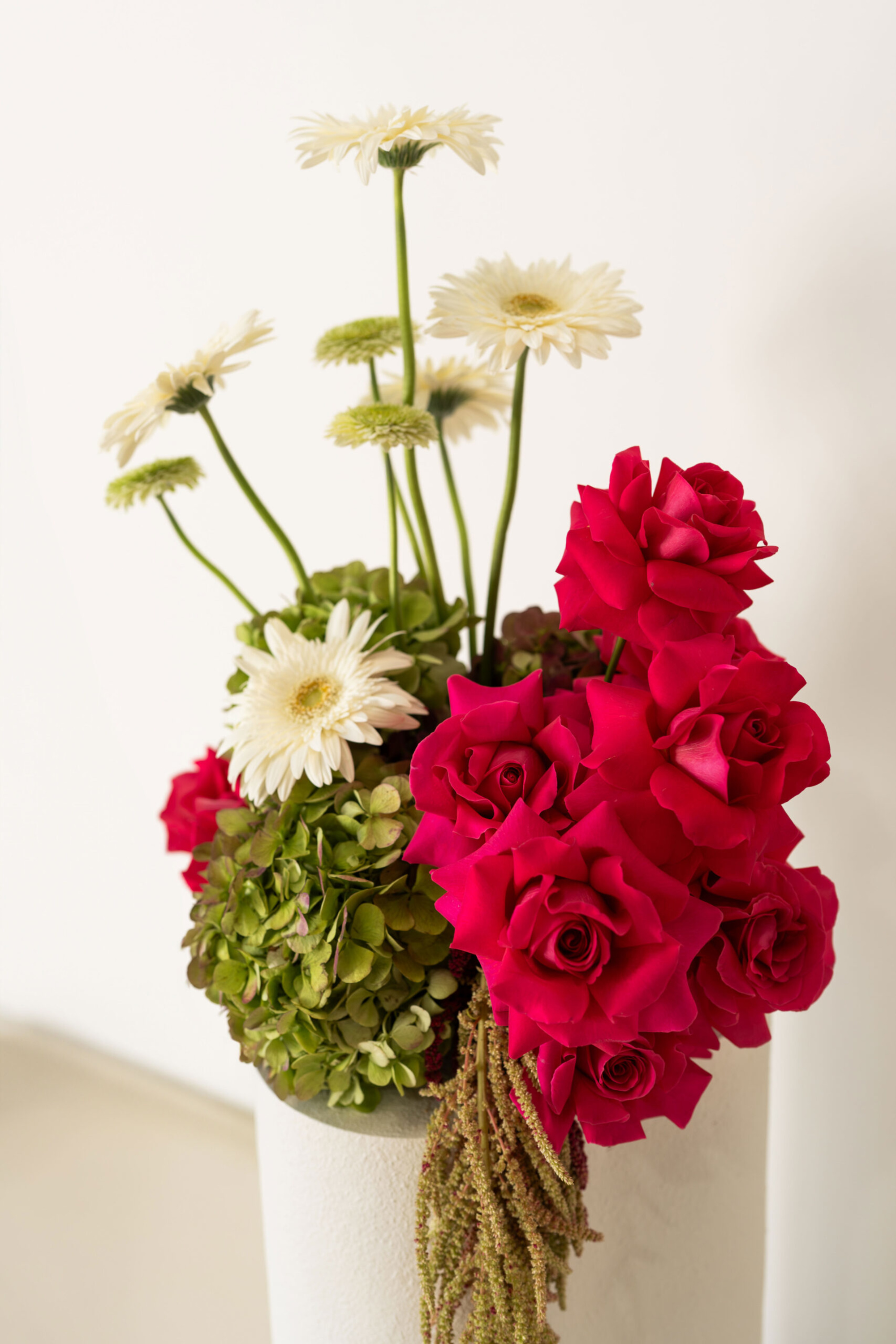 Vibrant pink roses and white daisies arranged with green foliage against a clean white background.