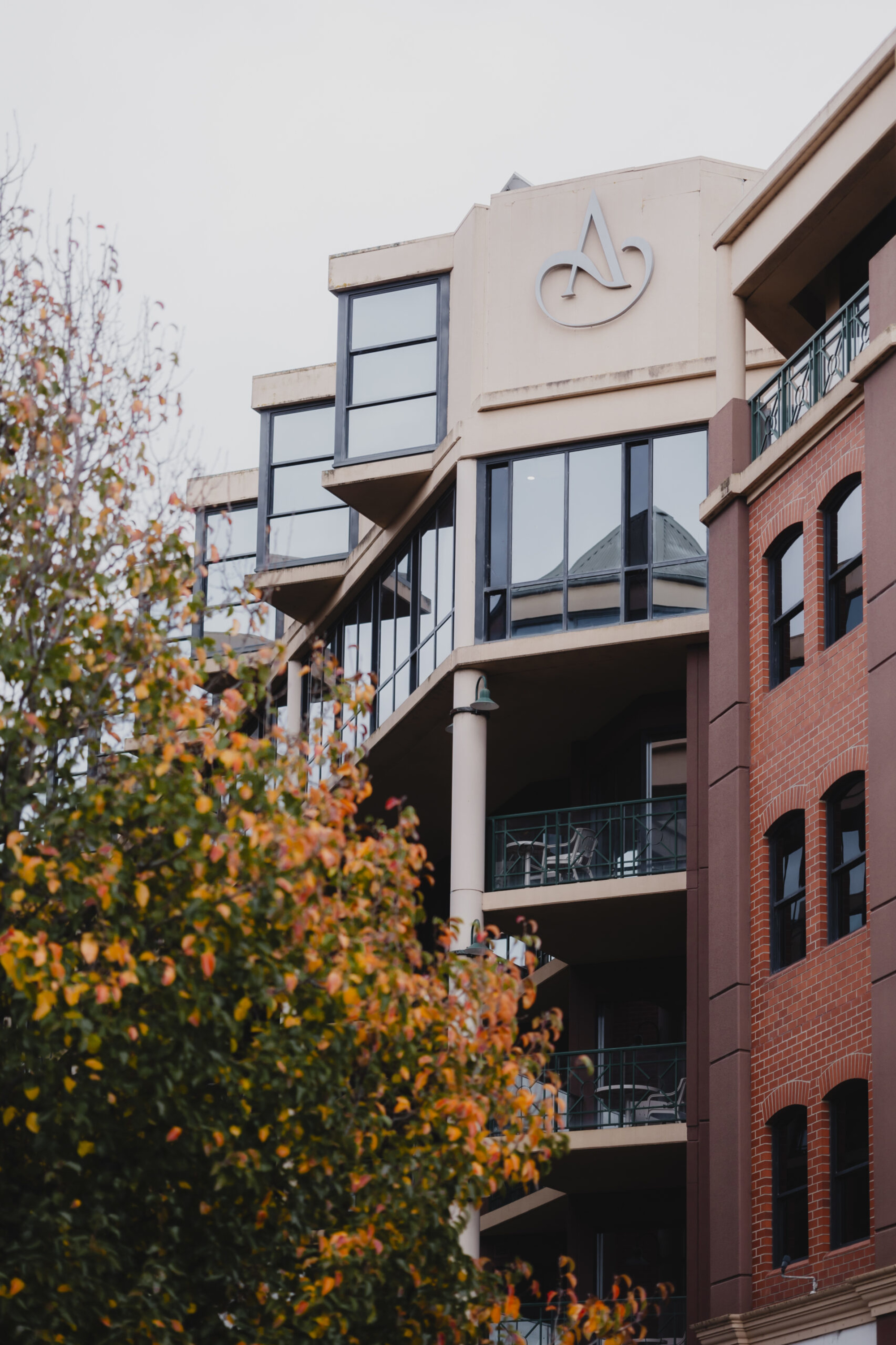 Modern multi-story building with large windows and balconies behind autumn trees, suitable as an urban wedding venue.