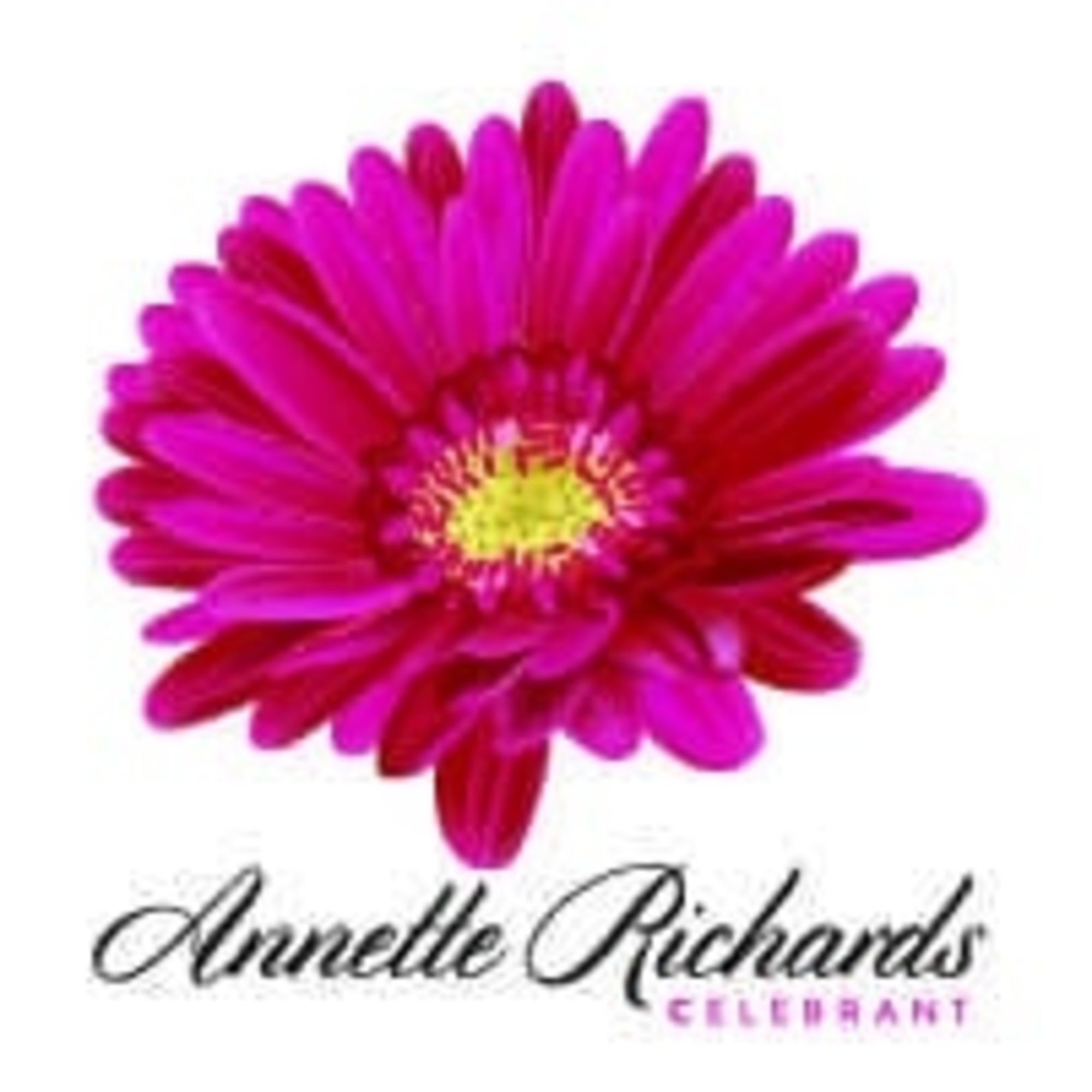 Vibrant pink gerbera daisy logo for Annette Richards, a wedding celebrant.