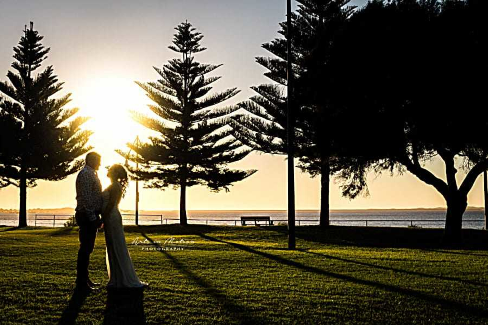 Silhouetted couple embracing at sunset in a waterfront park framed by tall trees.
