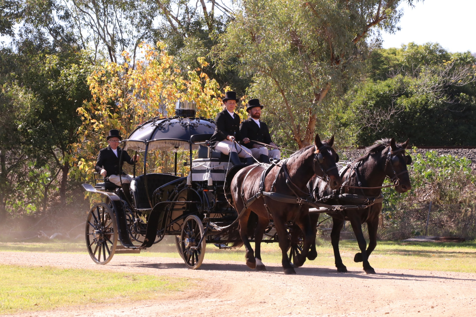 A black horse-drawn carriage with uniformed drivers travels along a sunny tree-lined country path.