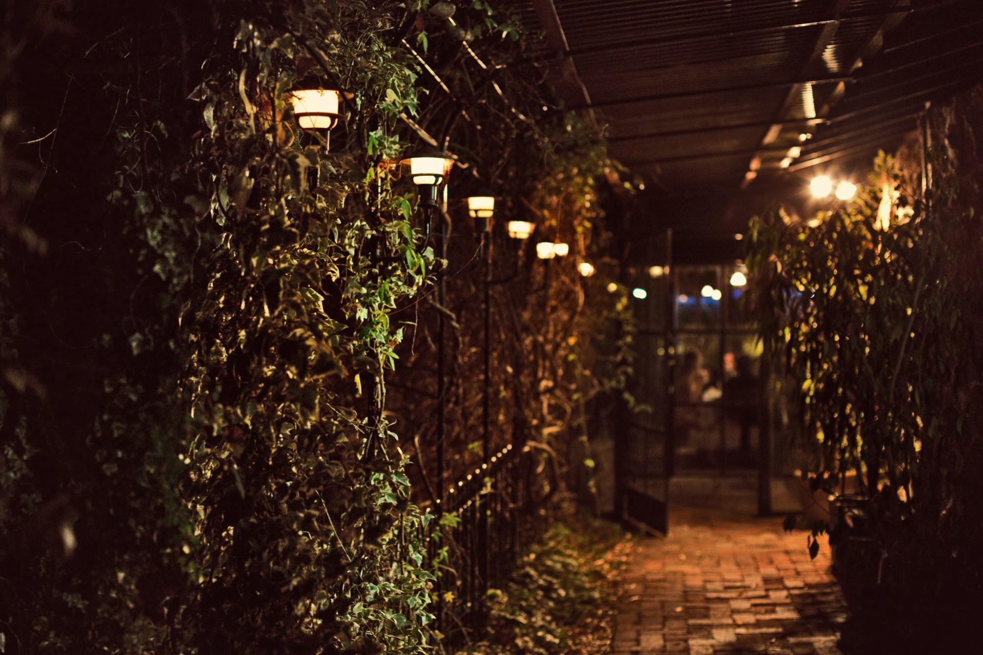 Romantic garden walkway lined with warm glowing lanterns and lush greenery at night.