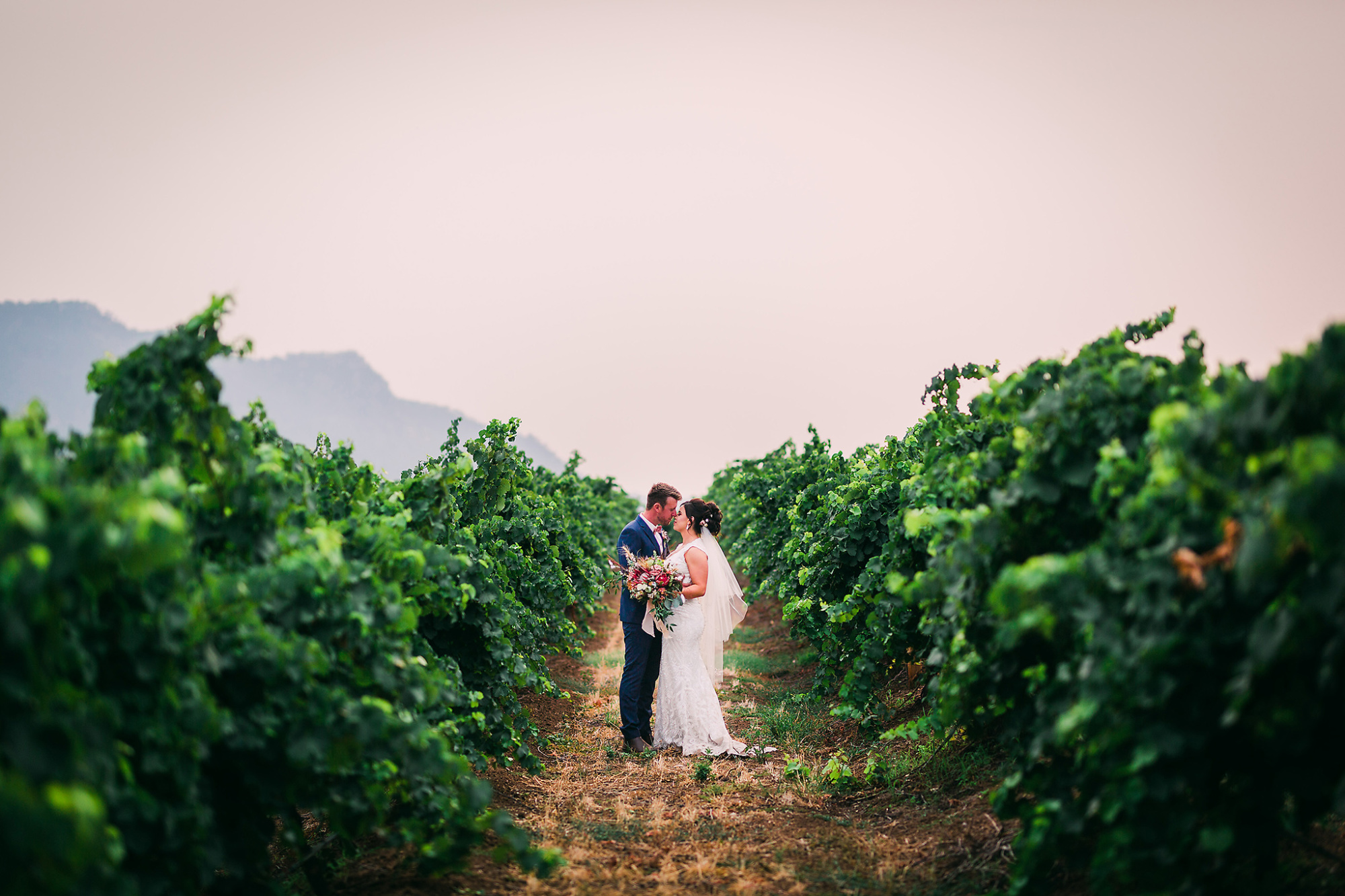 Bride and groom embrace in the middle of a lush green vineyard at sunset.