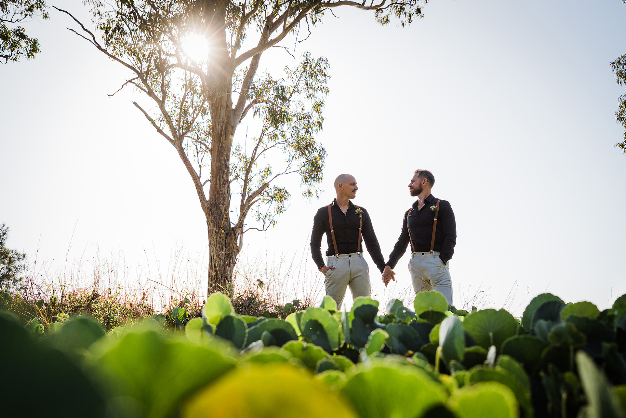 Two grooms holding hands in a sunny outdoor garden setting beneath a tall tree.