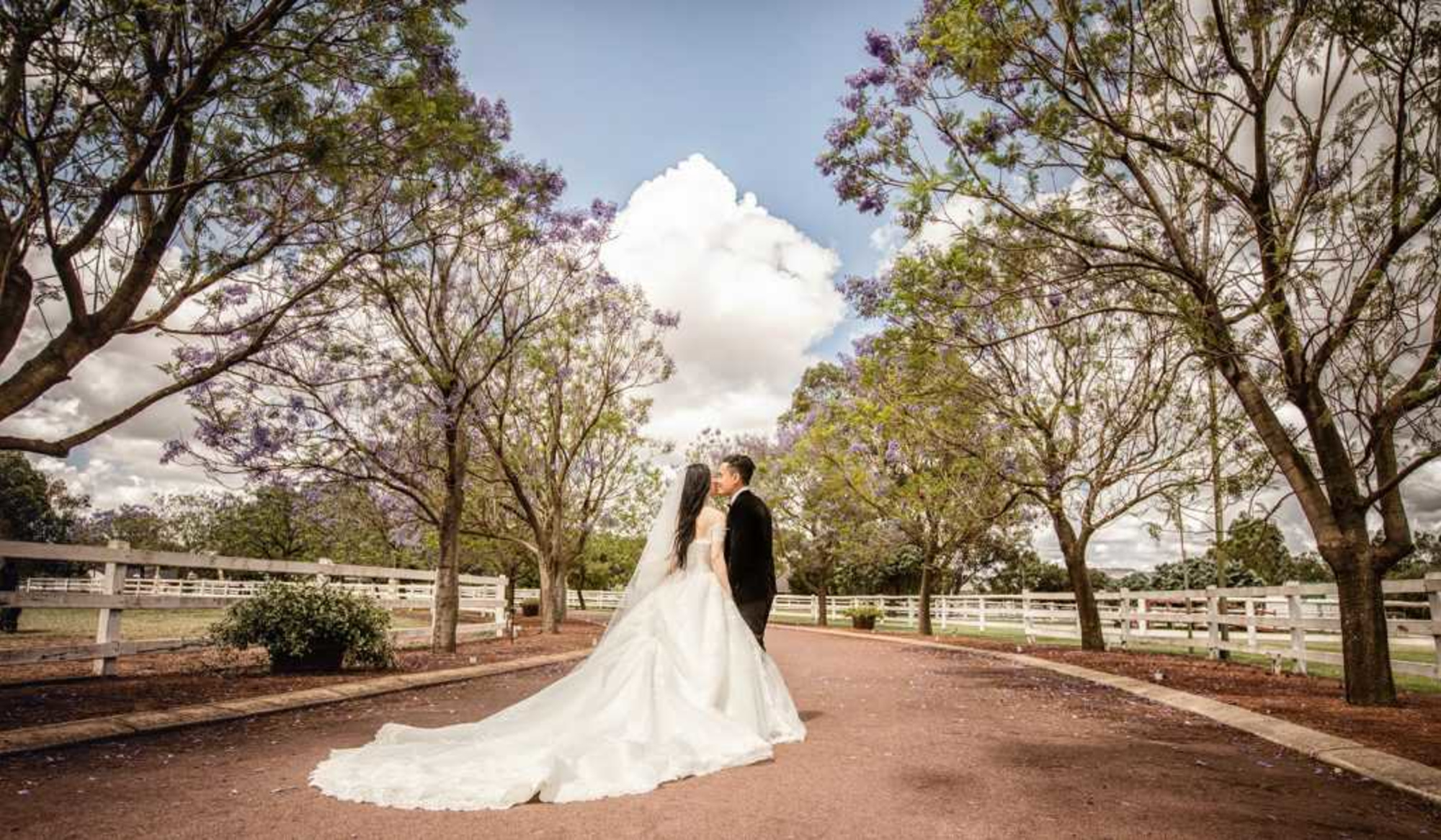 Wedding couple stands on a tree-lined path at a country venue, with the bride’s long train spread behind her.